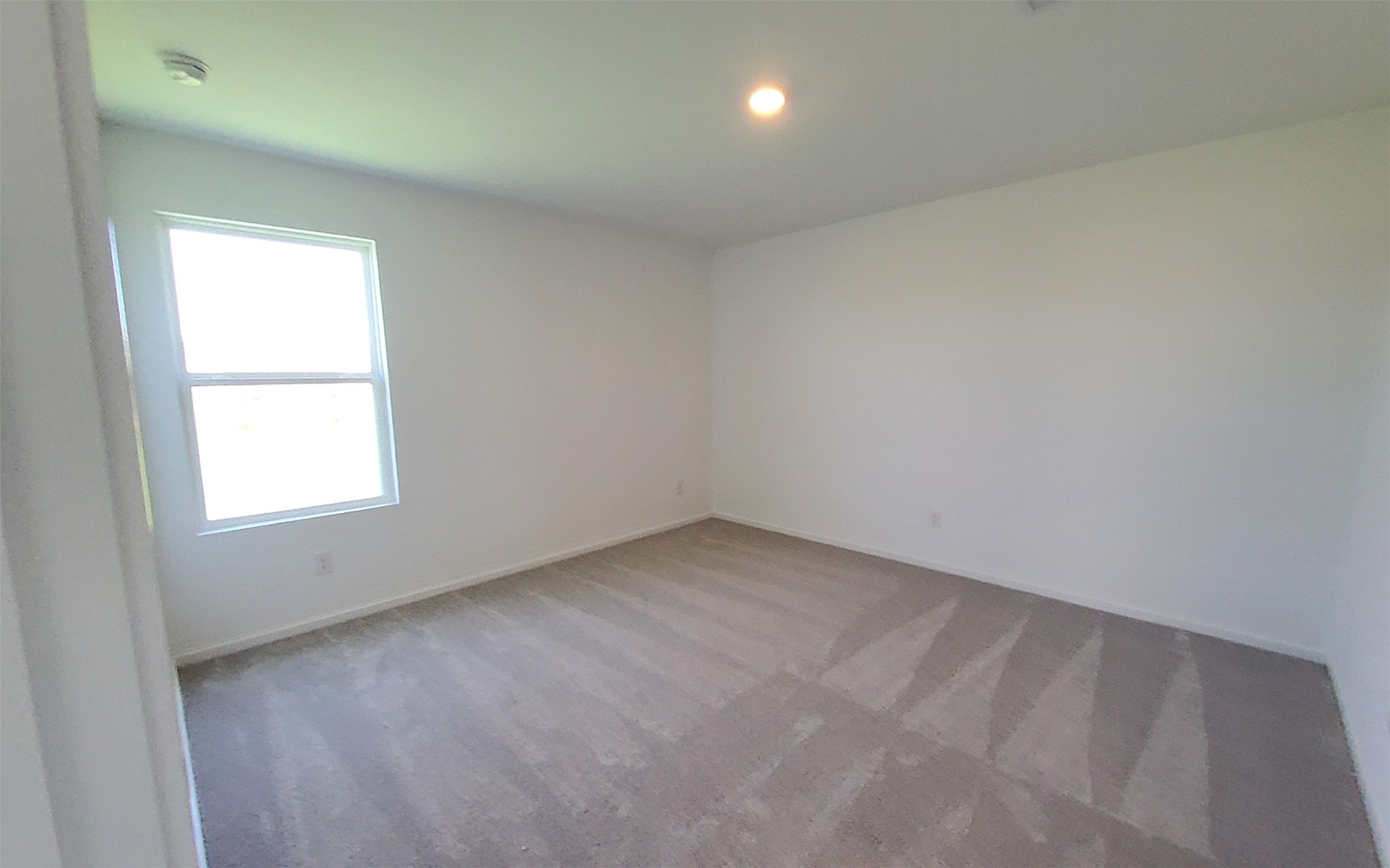 26810 Scarlet Willow Drive Property Photo 19