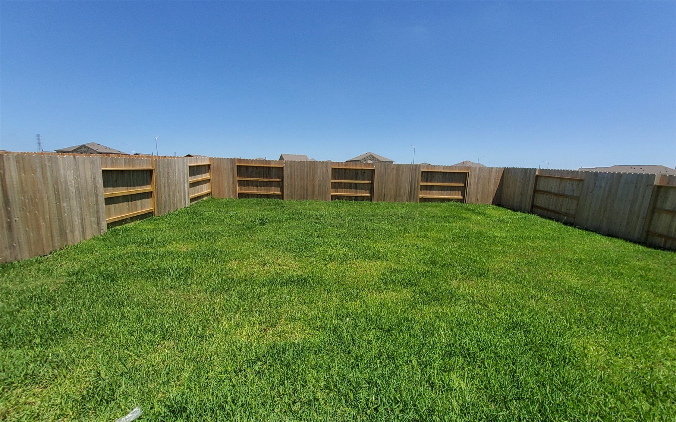26810 Scarlet Willow Drive Property Photo 29