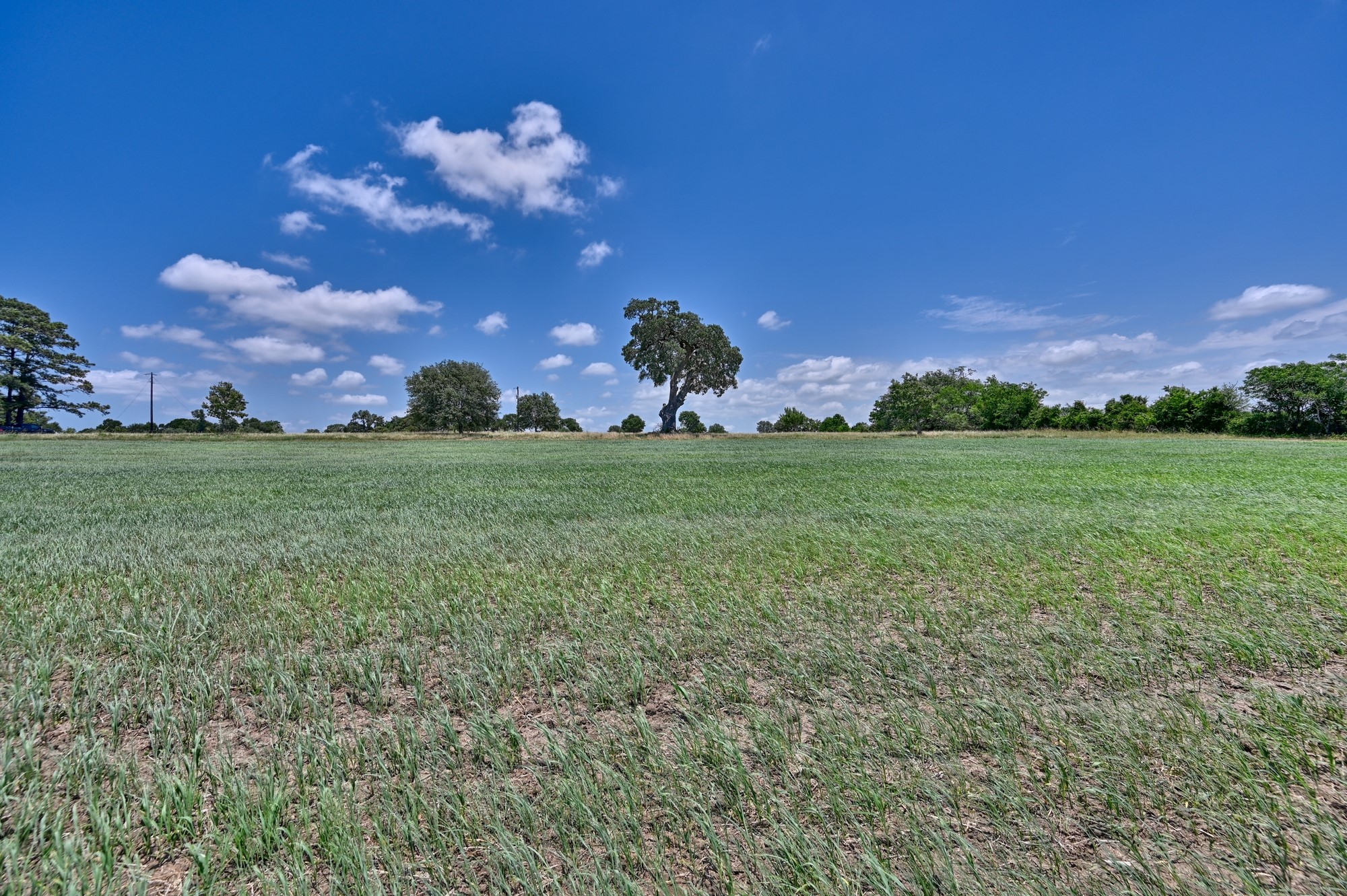 0000 Kovar Road Property Photo 9