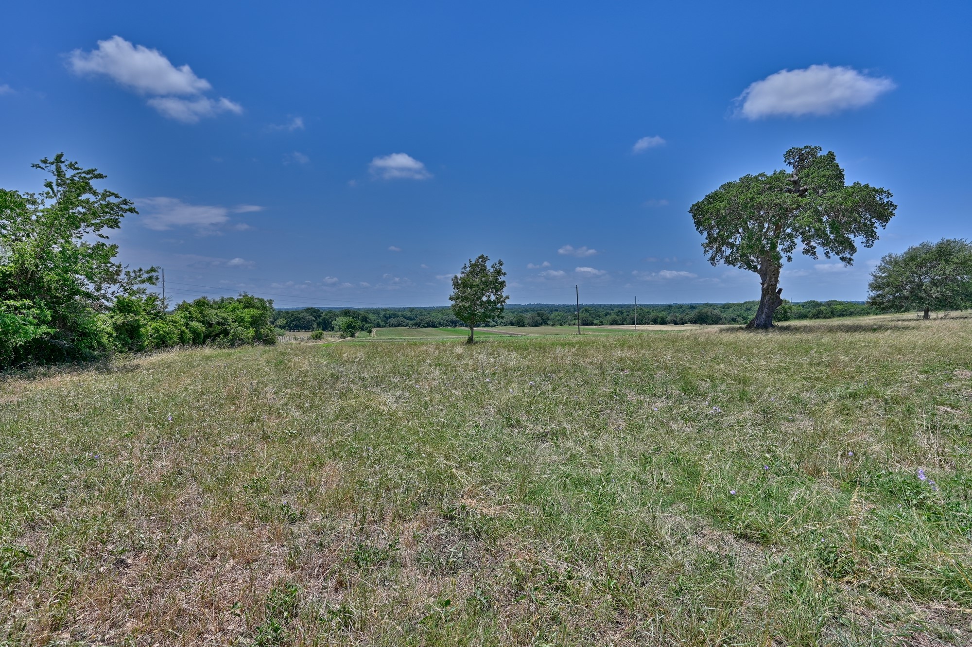 0000 Kovar Road Property Photo 11