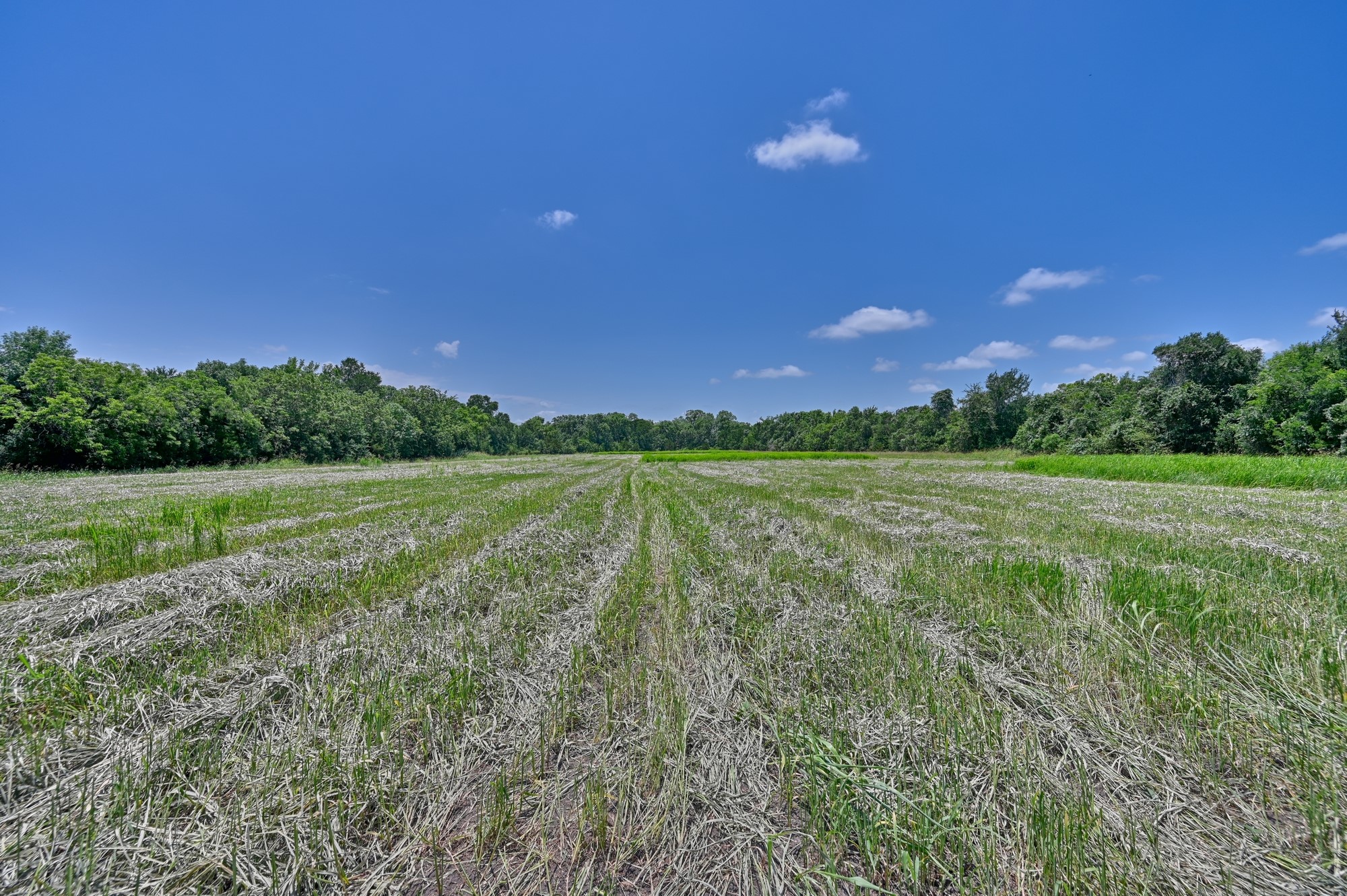 0000 Kovar Road Property Photo 13