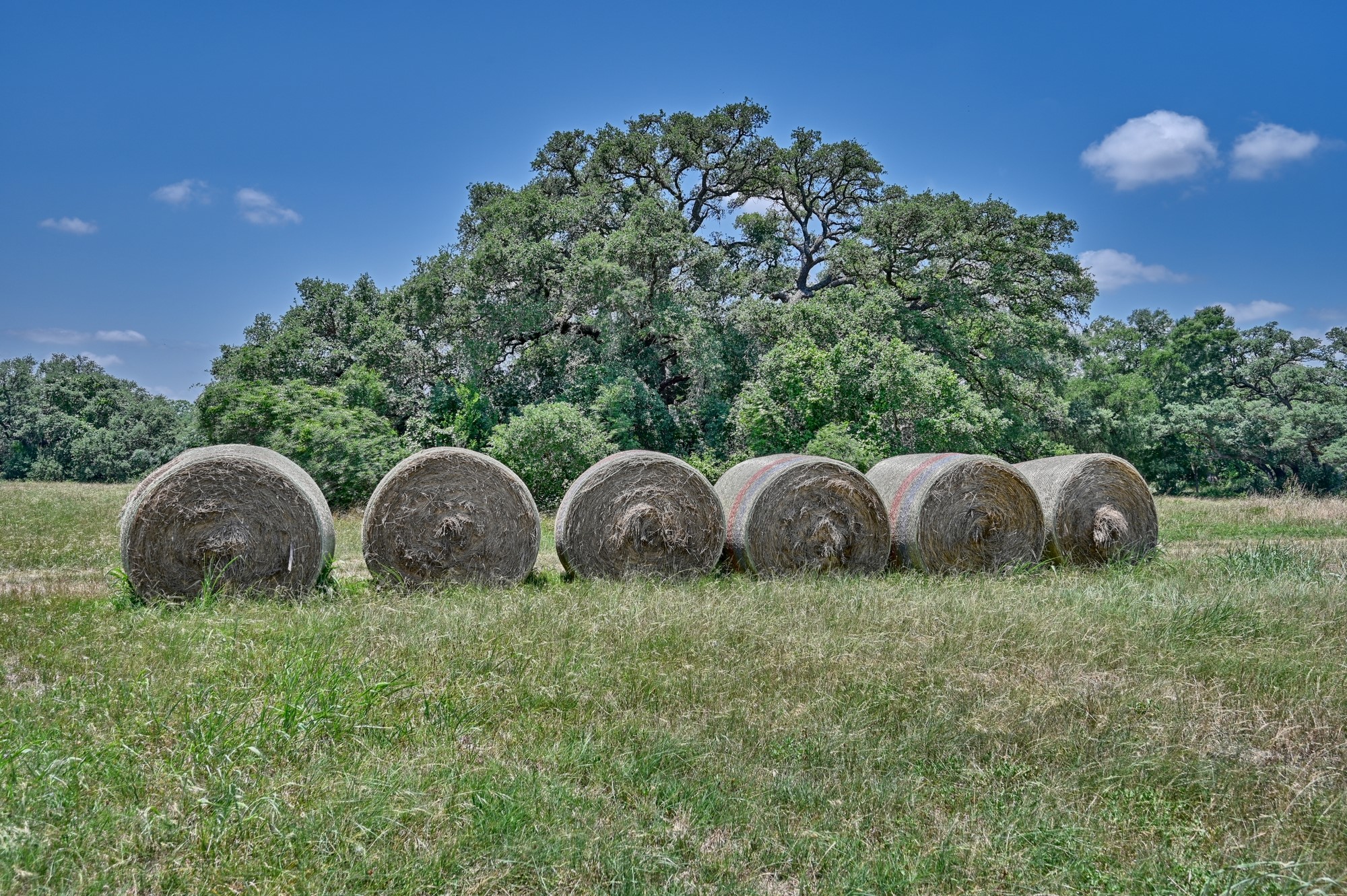 0000 Kovar Road Property Photo 20