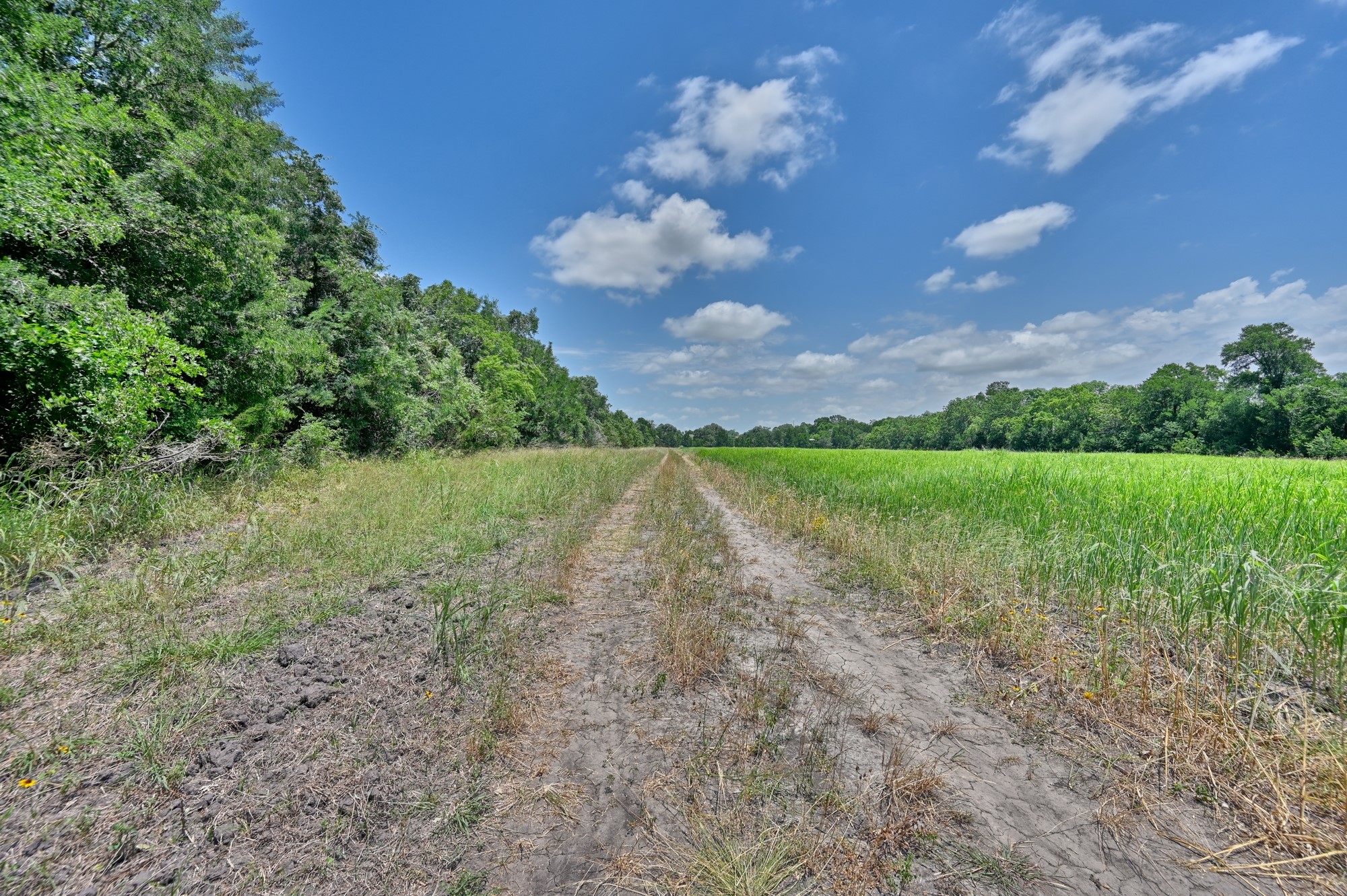 0000 Kovar Road Property Photo 27