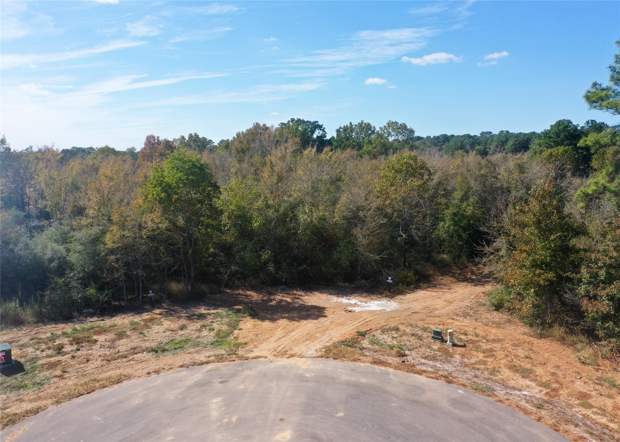 25010 Chapel Bend Court Property Photo 2