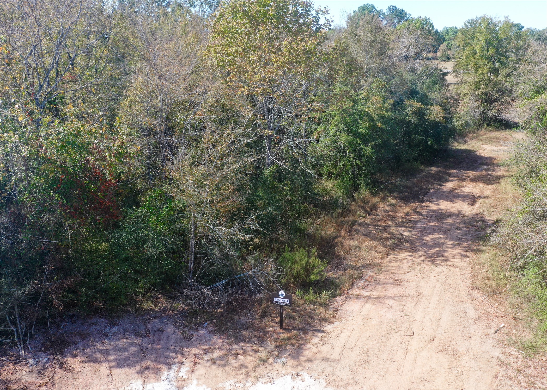 25010 Chapel Bend Court Property Photo 5