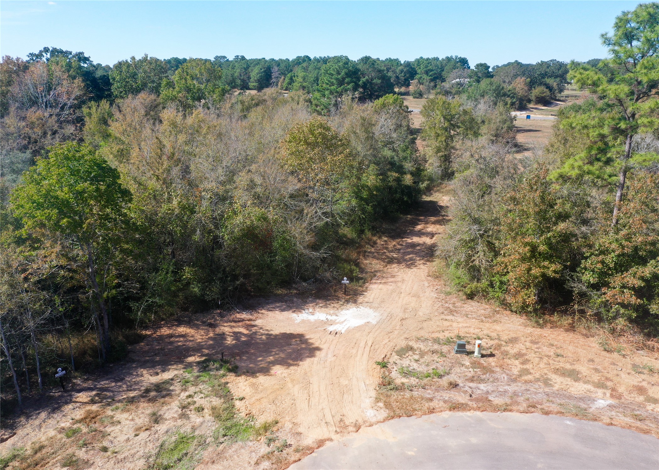 25010 Chapel Bend Court Property Photo 7