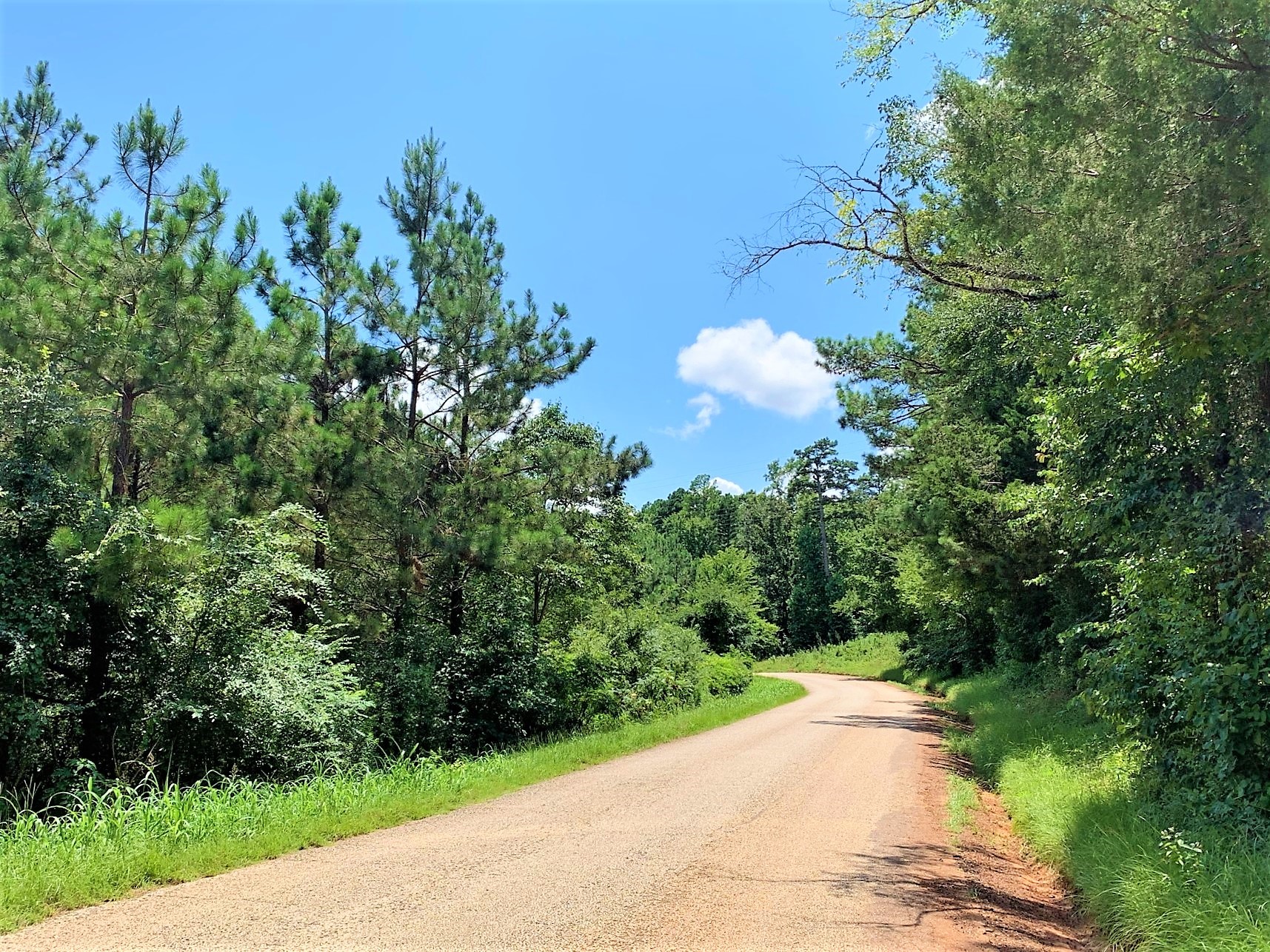 558 County Road 4101 Property Photo 1