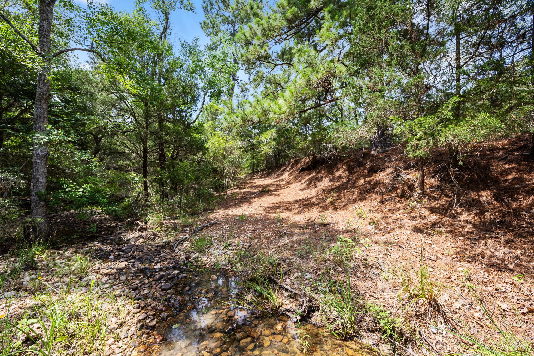 1507 Smith Rau Rd Property Photo 38