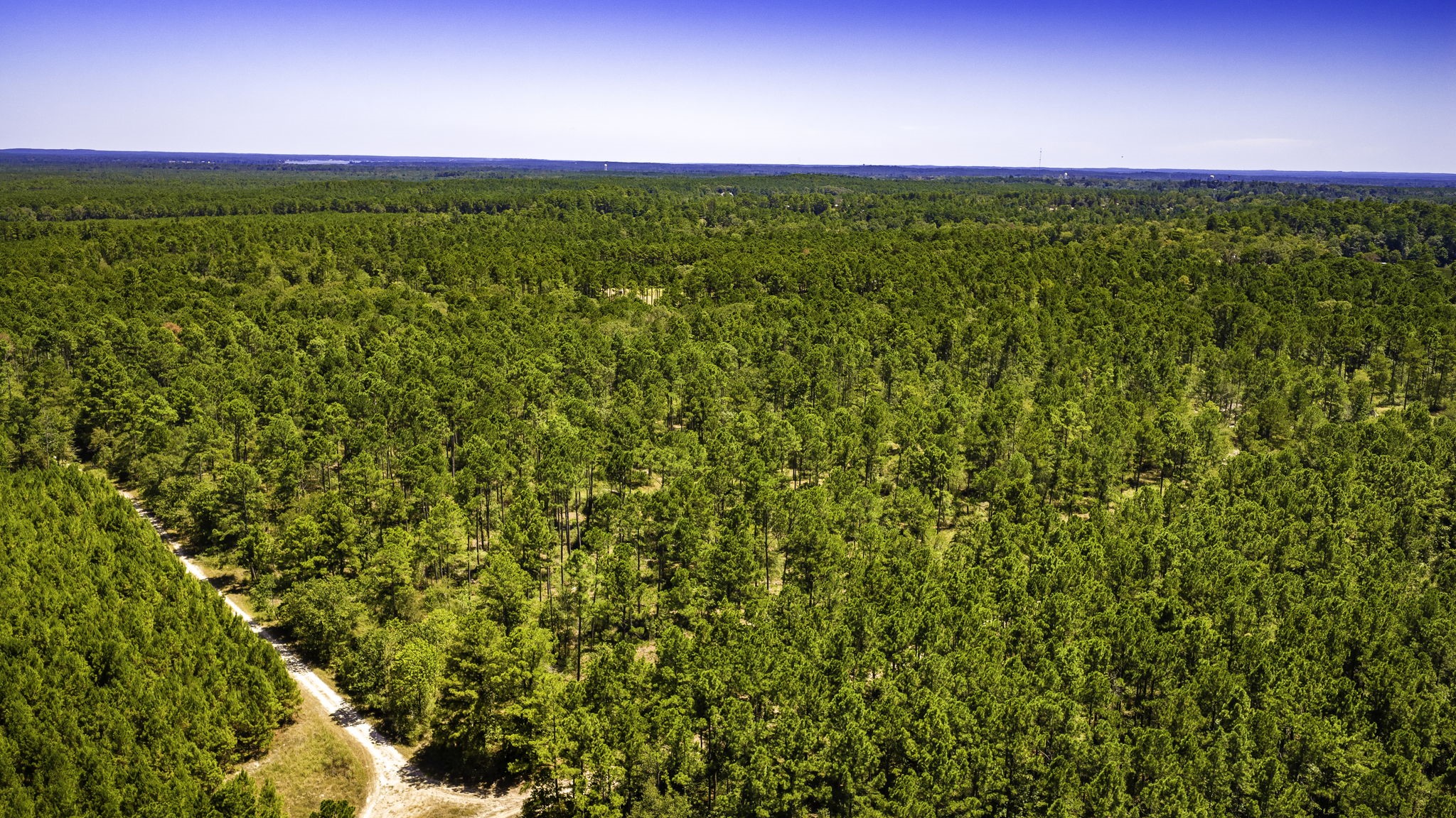 Tbd E Lakeview Drive Property Photo 3