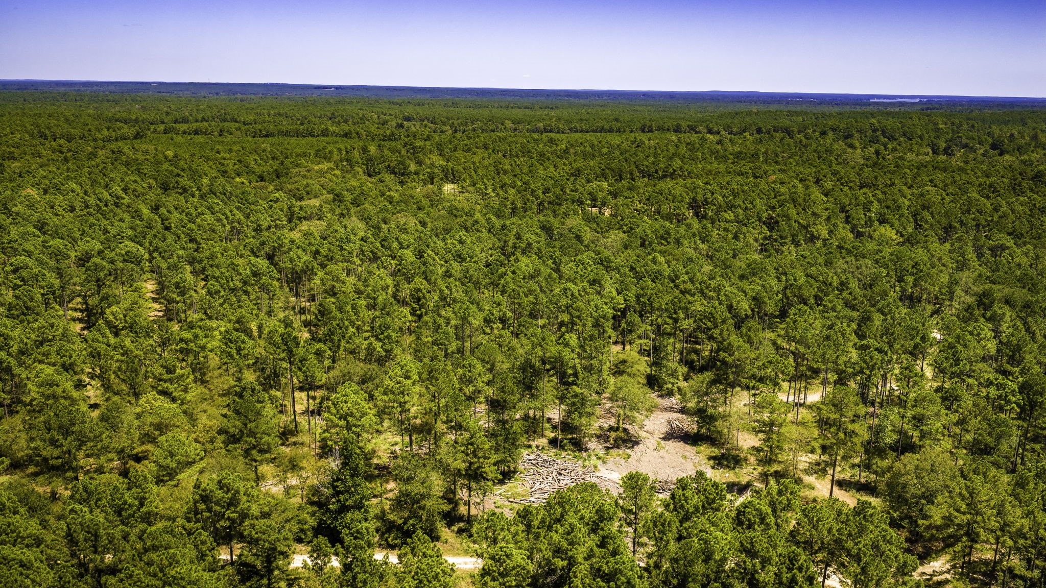 Tbd E Lakeview Drive Property Photo 9