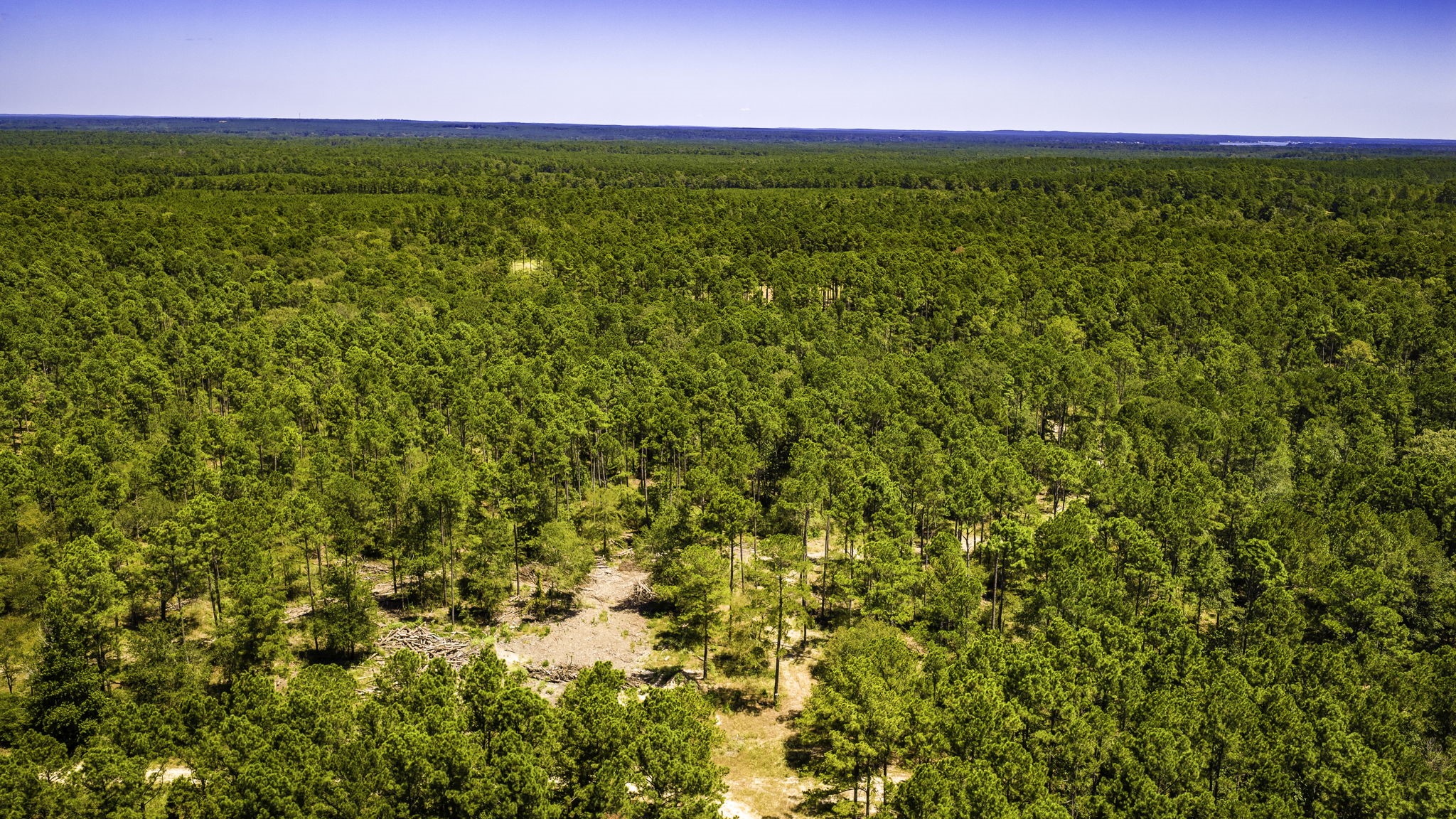 Tbd E Lakeview Drive Property Photo 10
