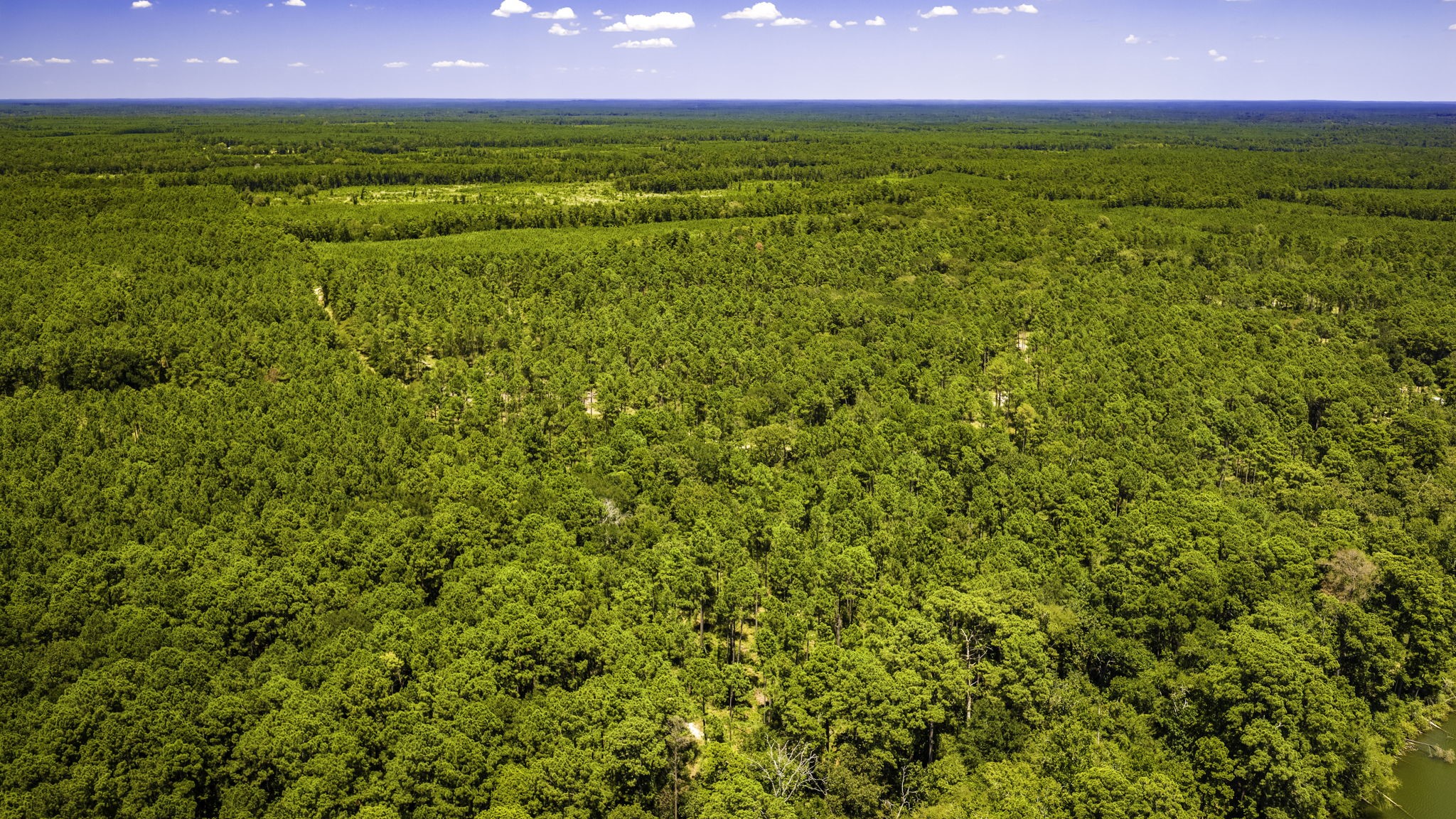 Tbd E Lakeview Drive Property Photo 12