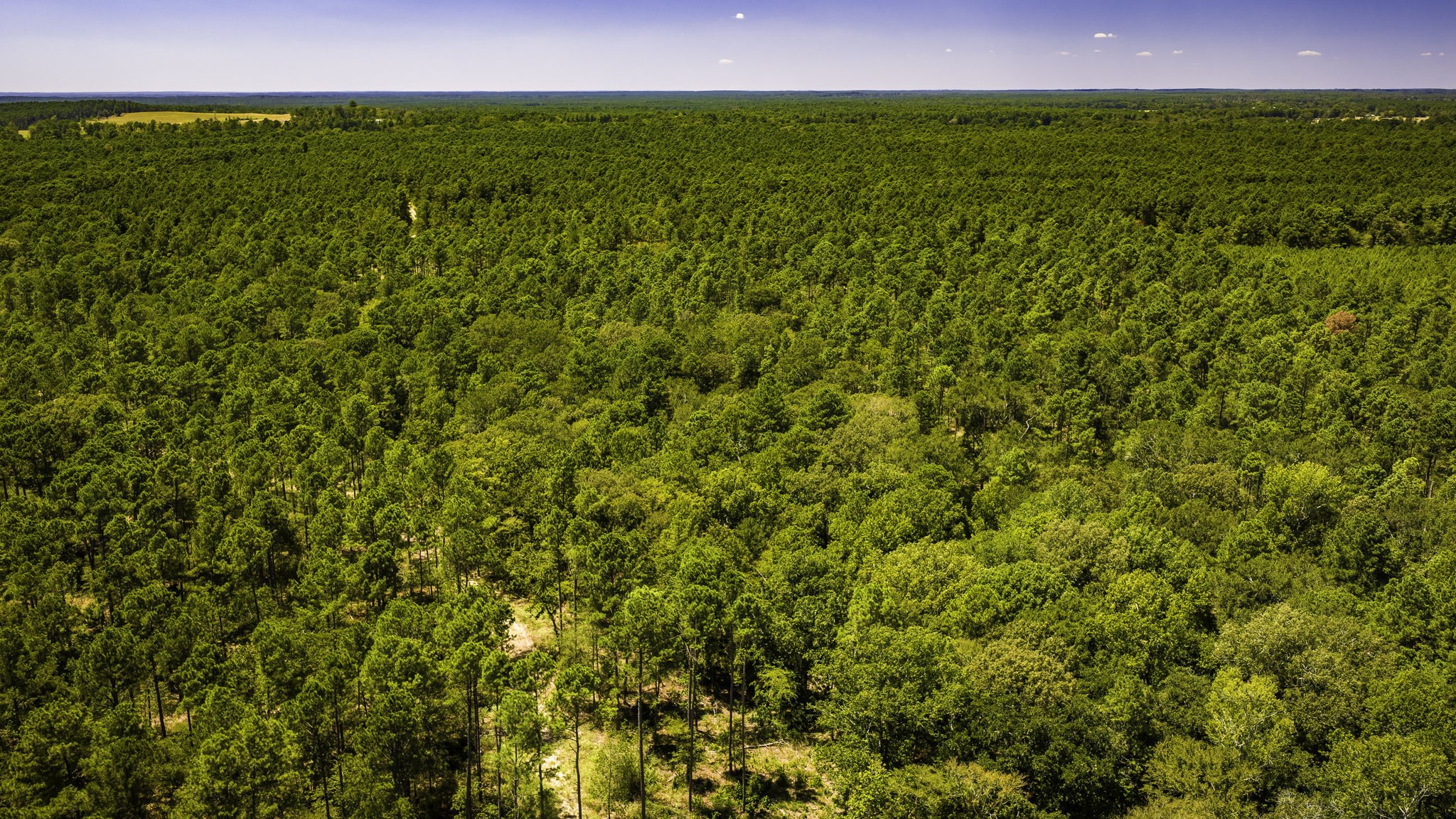 Tbd E Lakeview Drive Property Photo 15