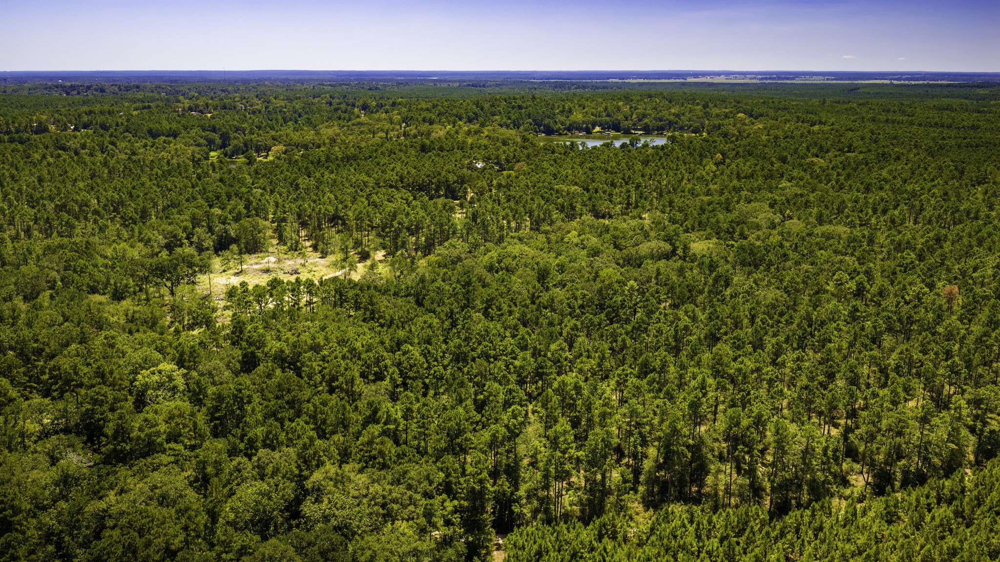 Tbd E Lakeview Drive Property Photo 23