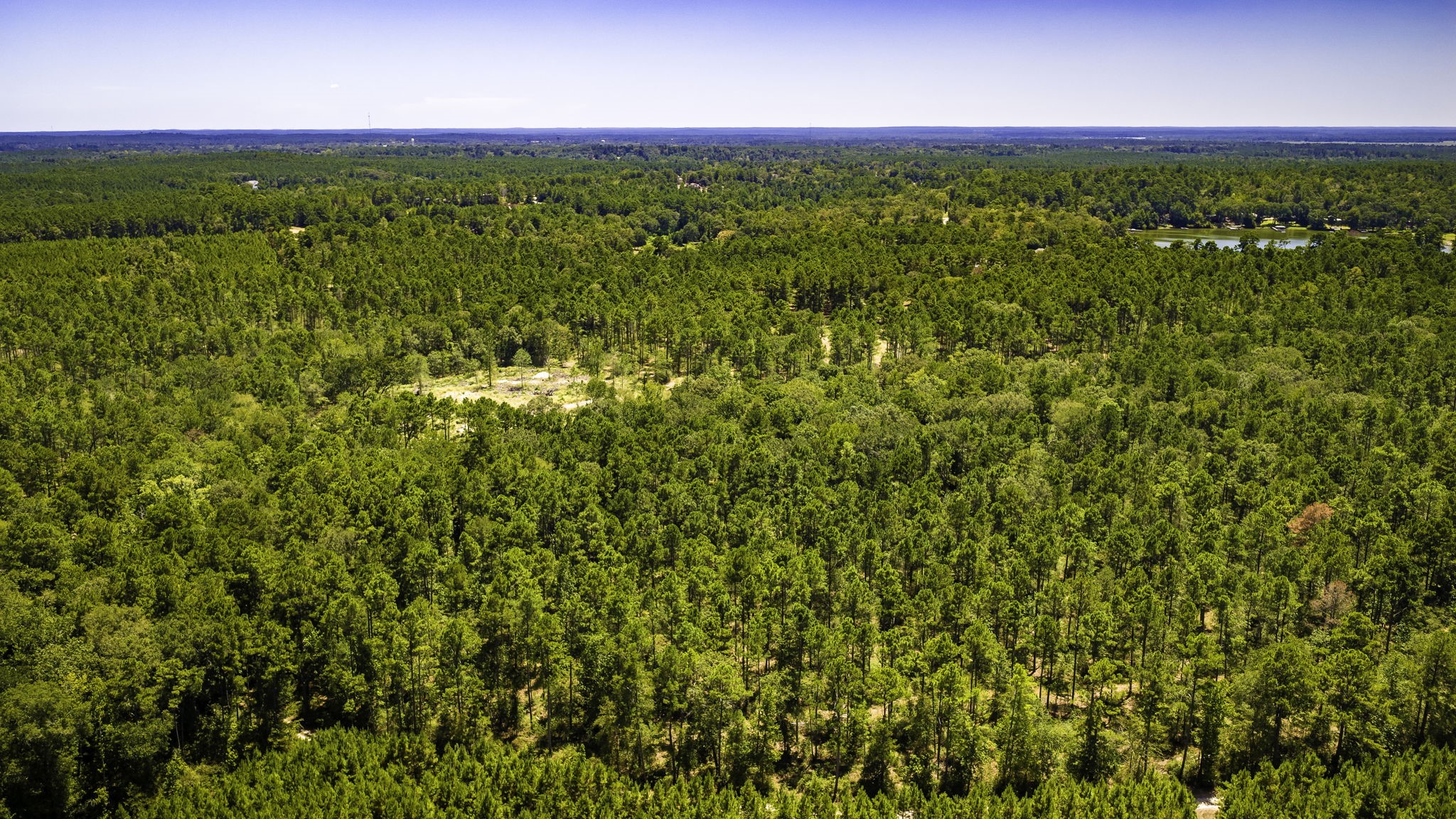 Tbd E Lakeview Drive Property Photo 24