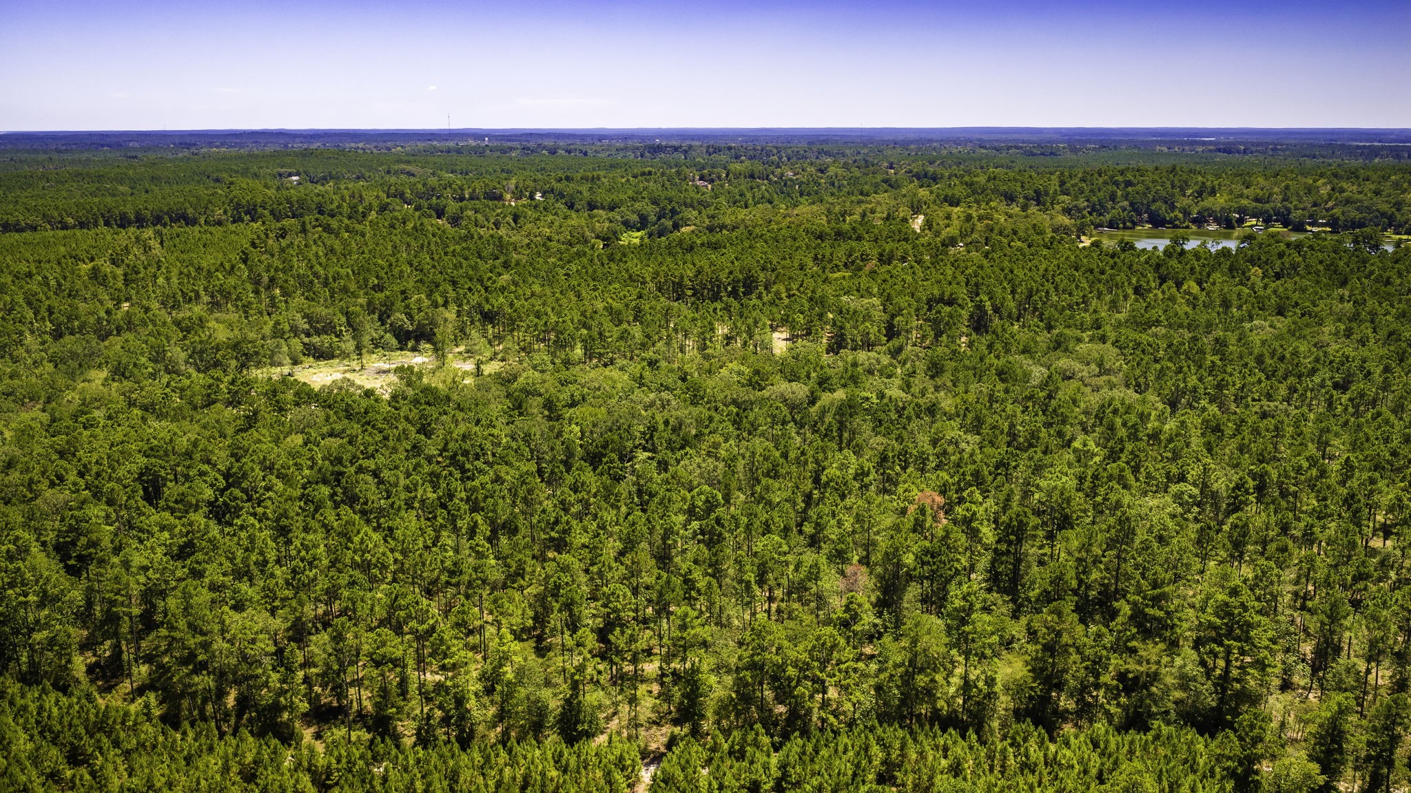 Tbd E Lakeview Drive Property Photo 25