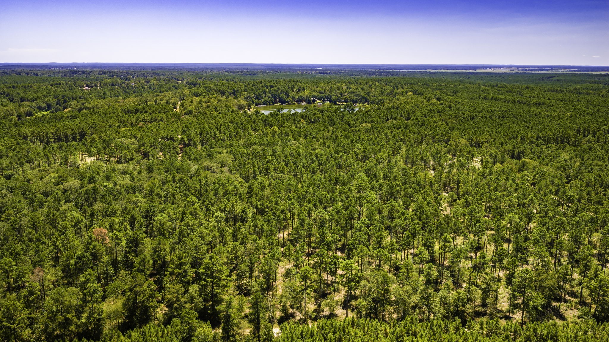 Tbd E Lakeview Drive Property Photo 26