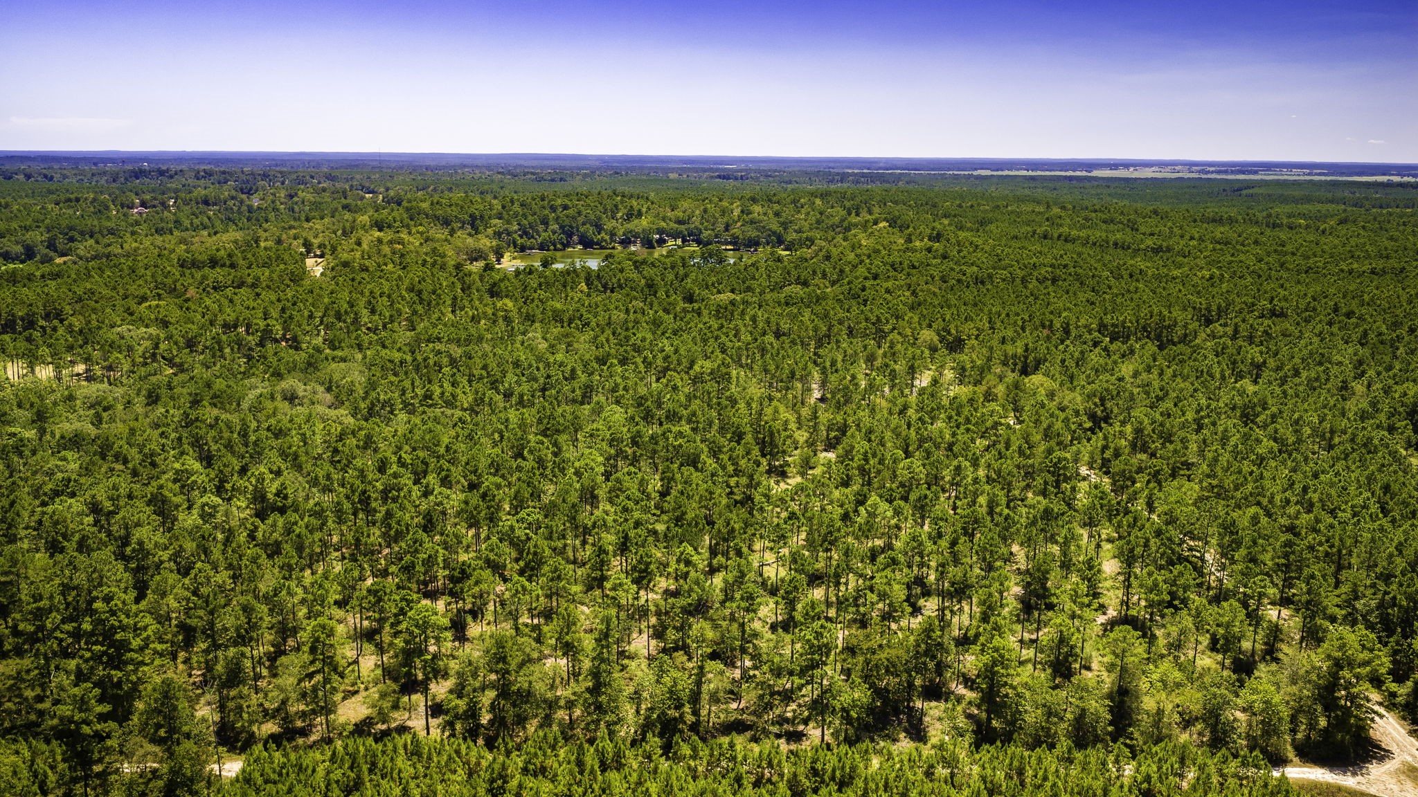 Tbd E Lakeview Drive Property Photo 27