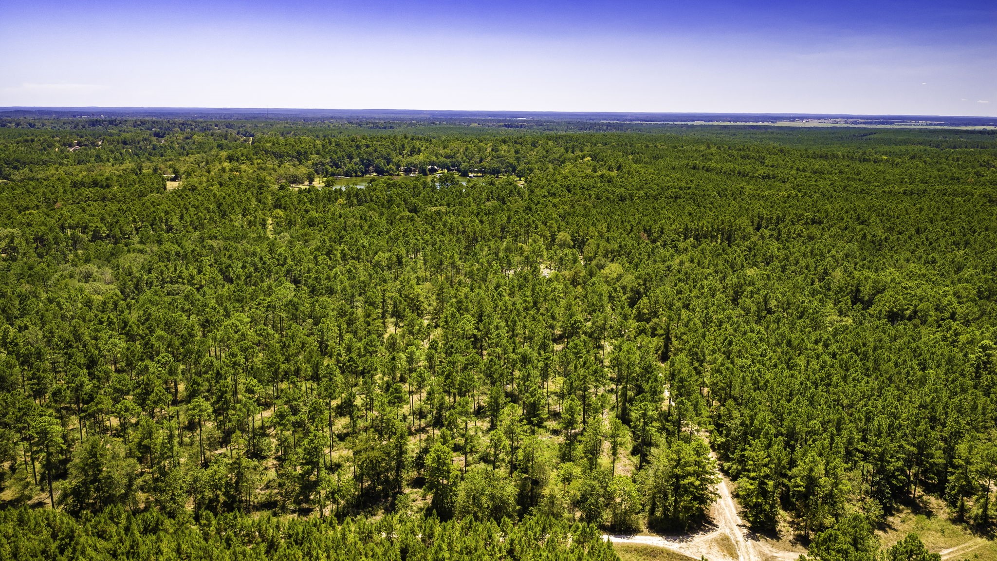 Tbd E Lakeview Drive Property Photo 28