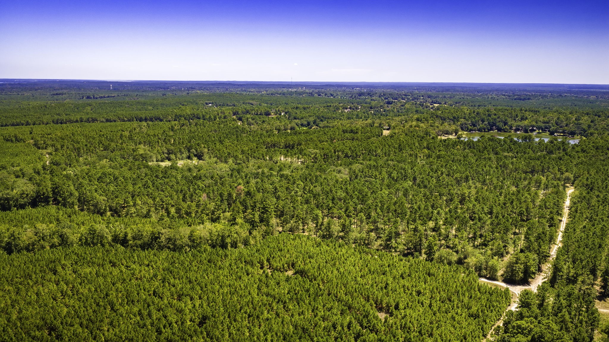 Tbd E Lakeview Drive Property Photo 29