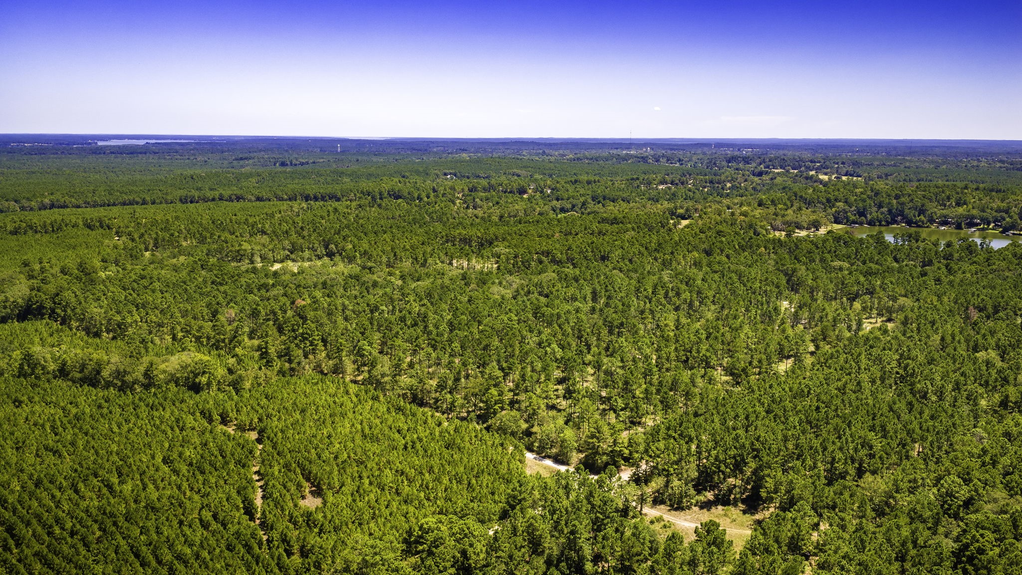 Tbd E Lakeview Drive Property Photo 30