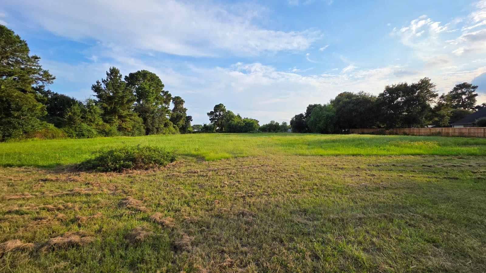 0 La Fouche Drive Property Photo 2