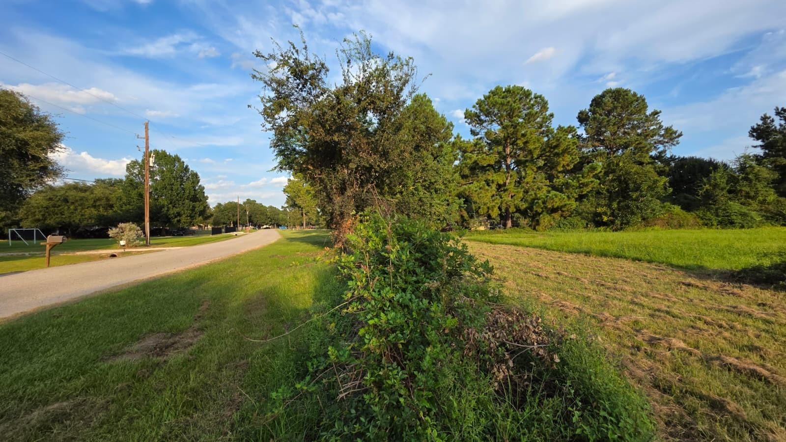 0 La Fouche Drive Property Photo 4