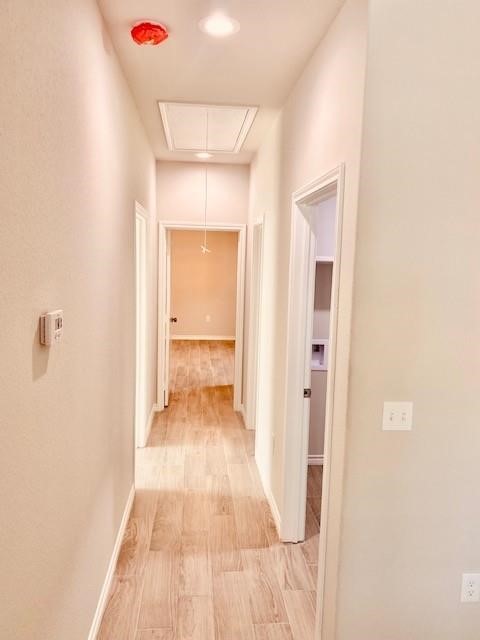 11907 Nelwood Street Property Photo 11