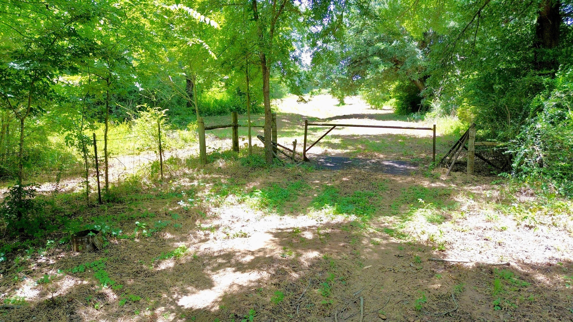 7365 Fm 2022 N Property Photo 3