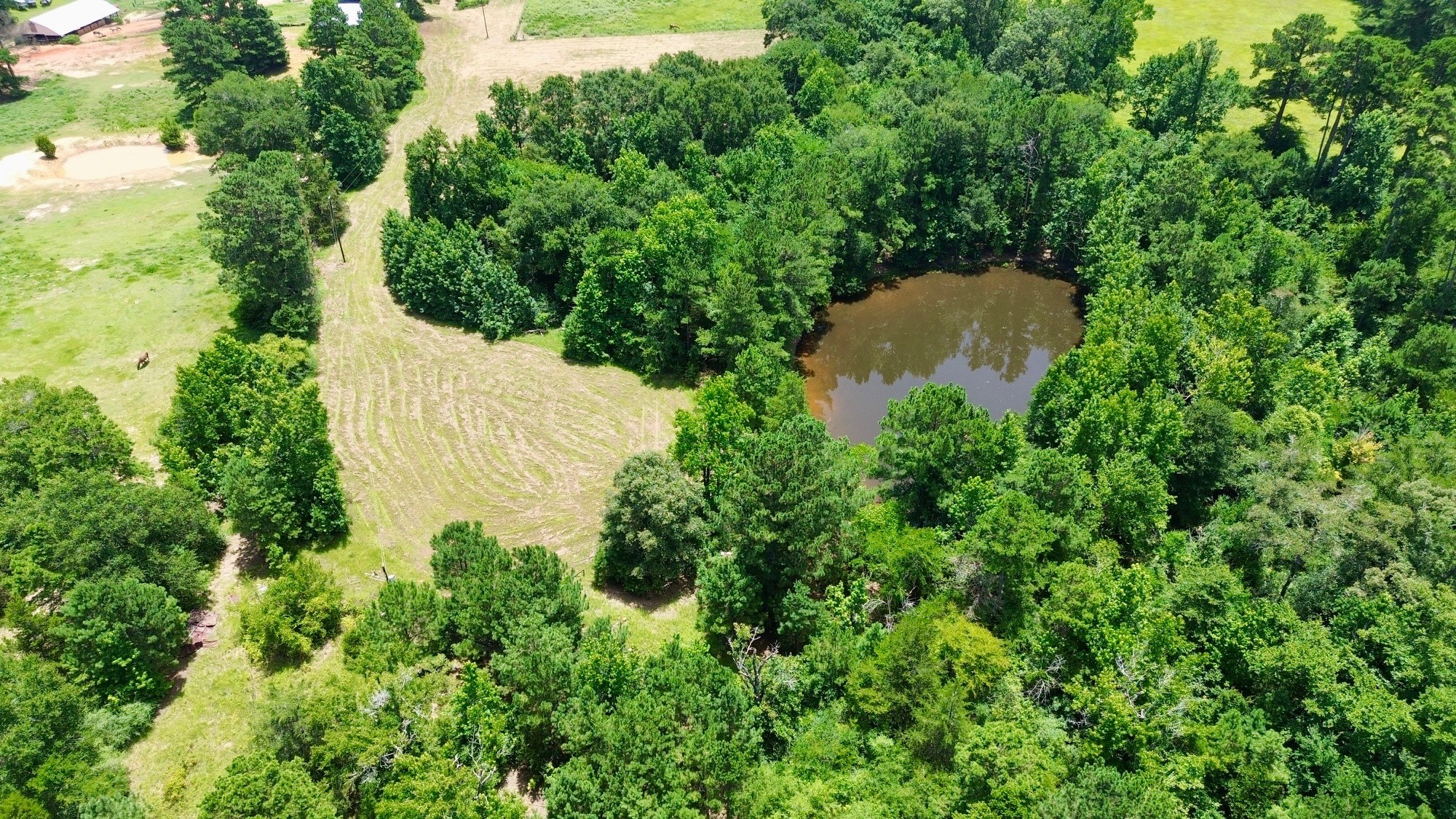 7365 Fm 2022 N Property Photo 6