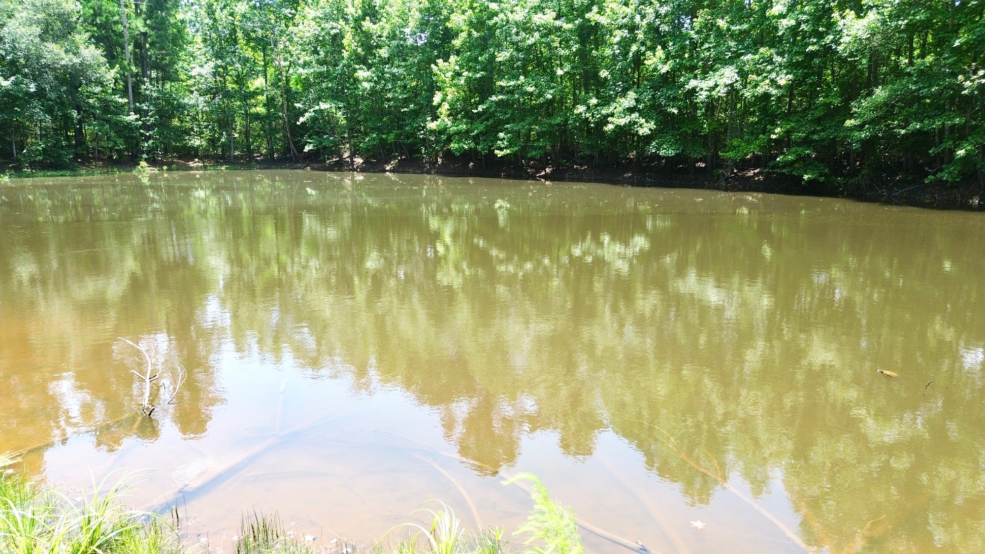7365 Fm 2022 N Property Photo 8