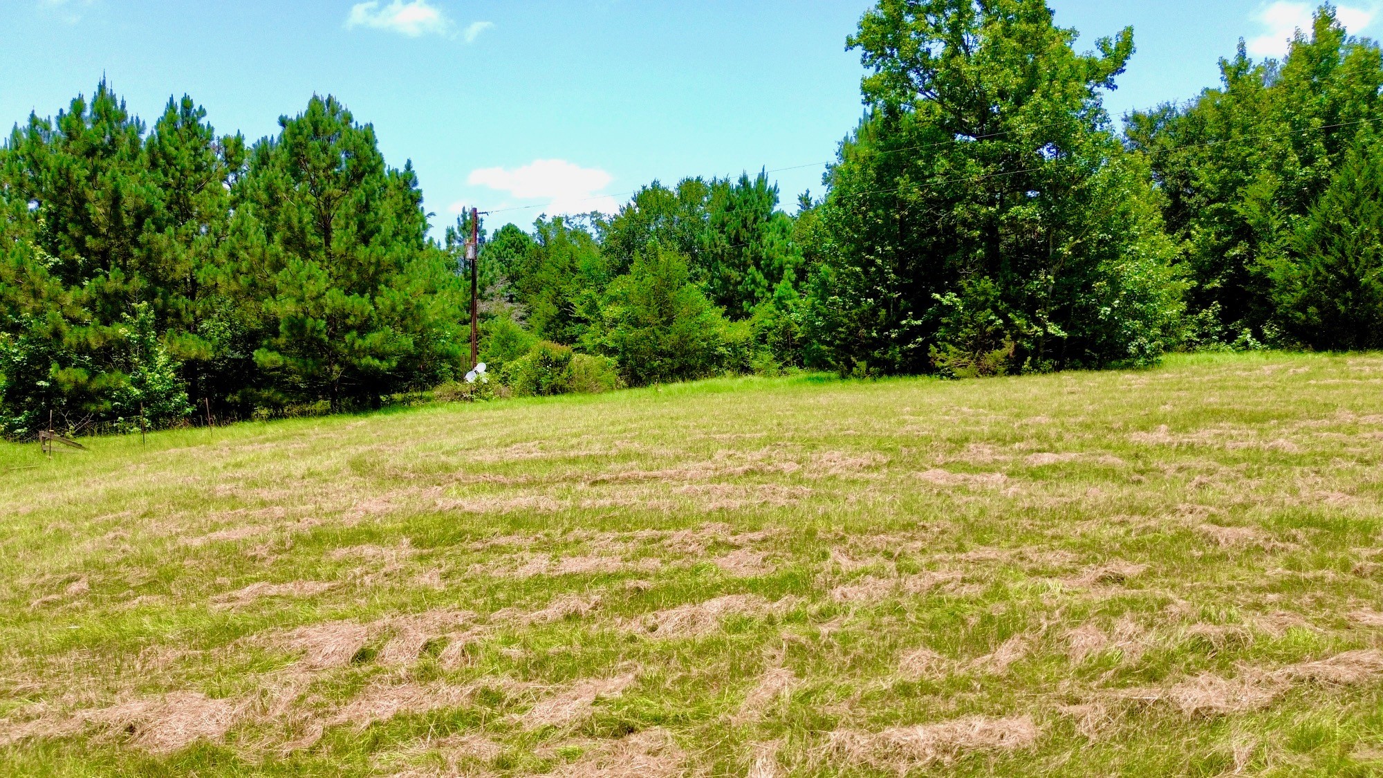 7365 Fm 2022 N Property Photo 9