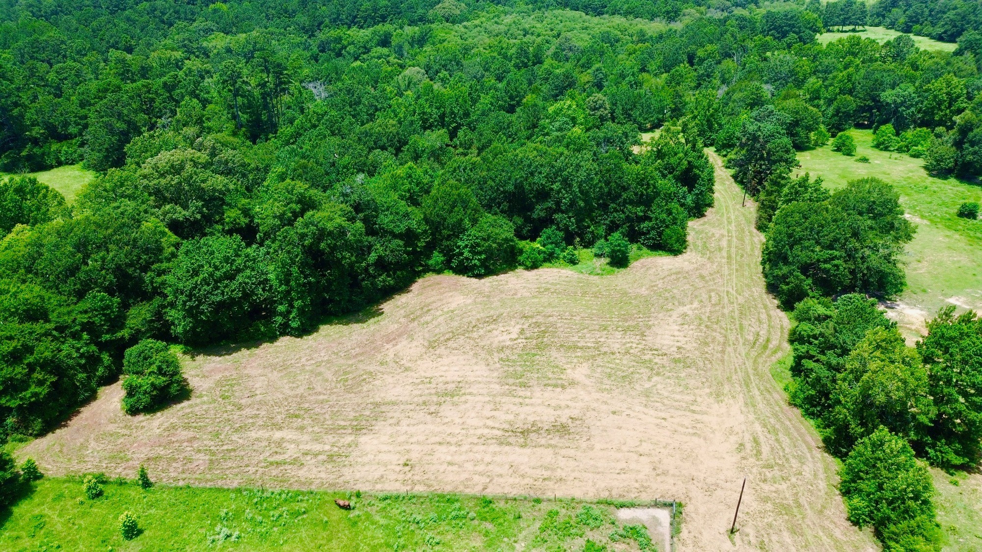 7365 Fm 2022 N Property Photo 11