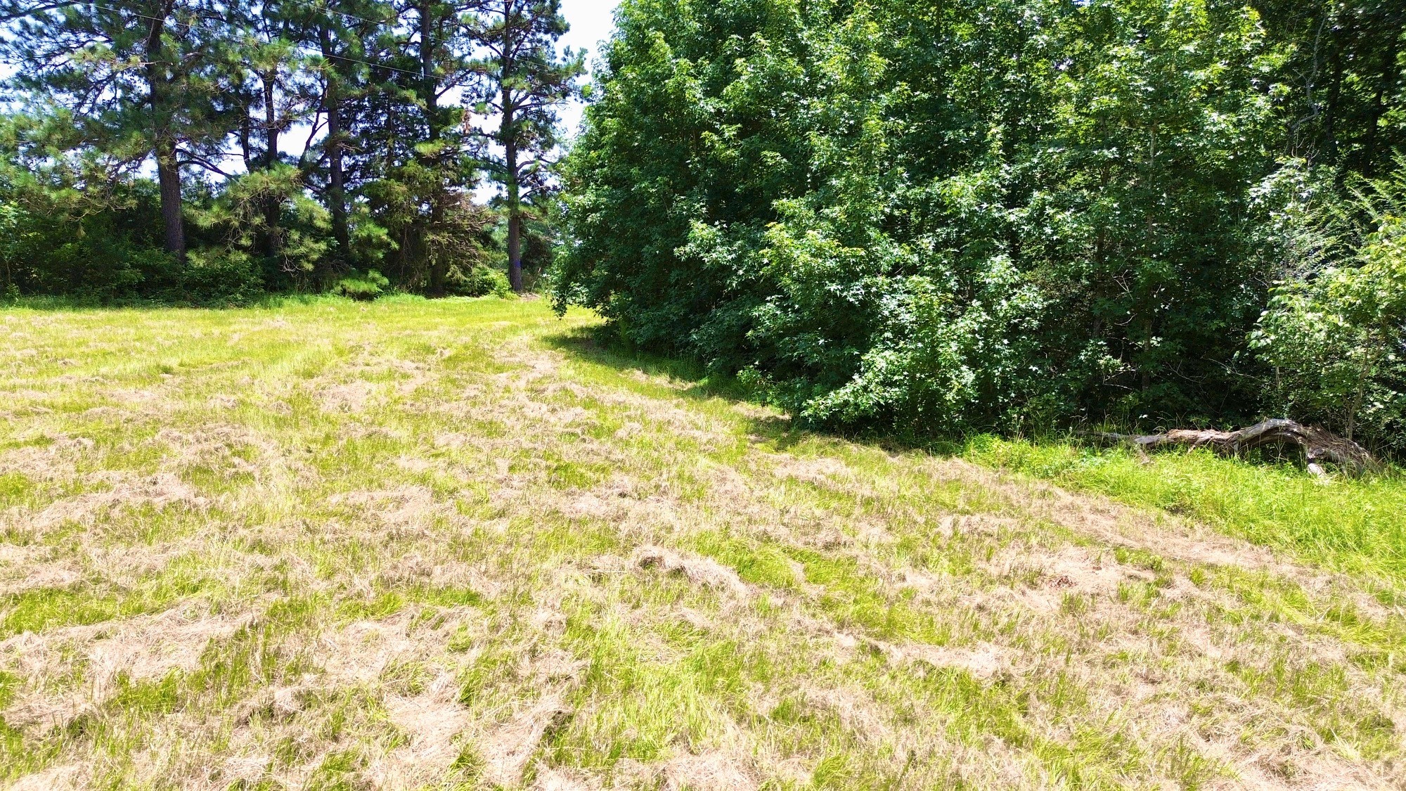 7365 Fm 2022 N Property Photo 12