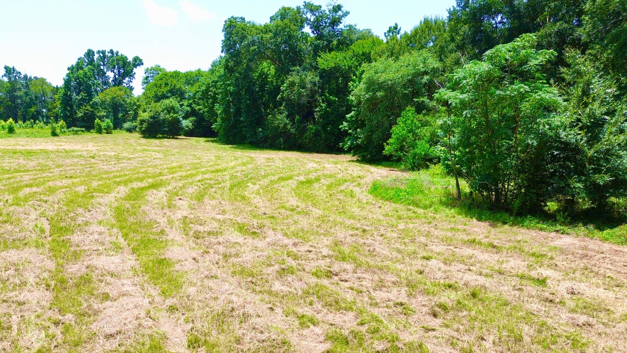 7365 Fm 2022 N Property Photo 13