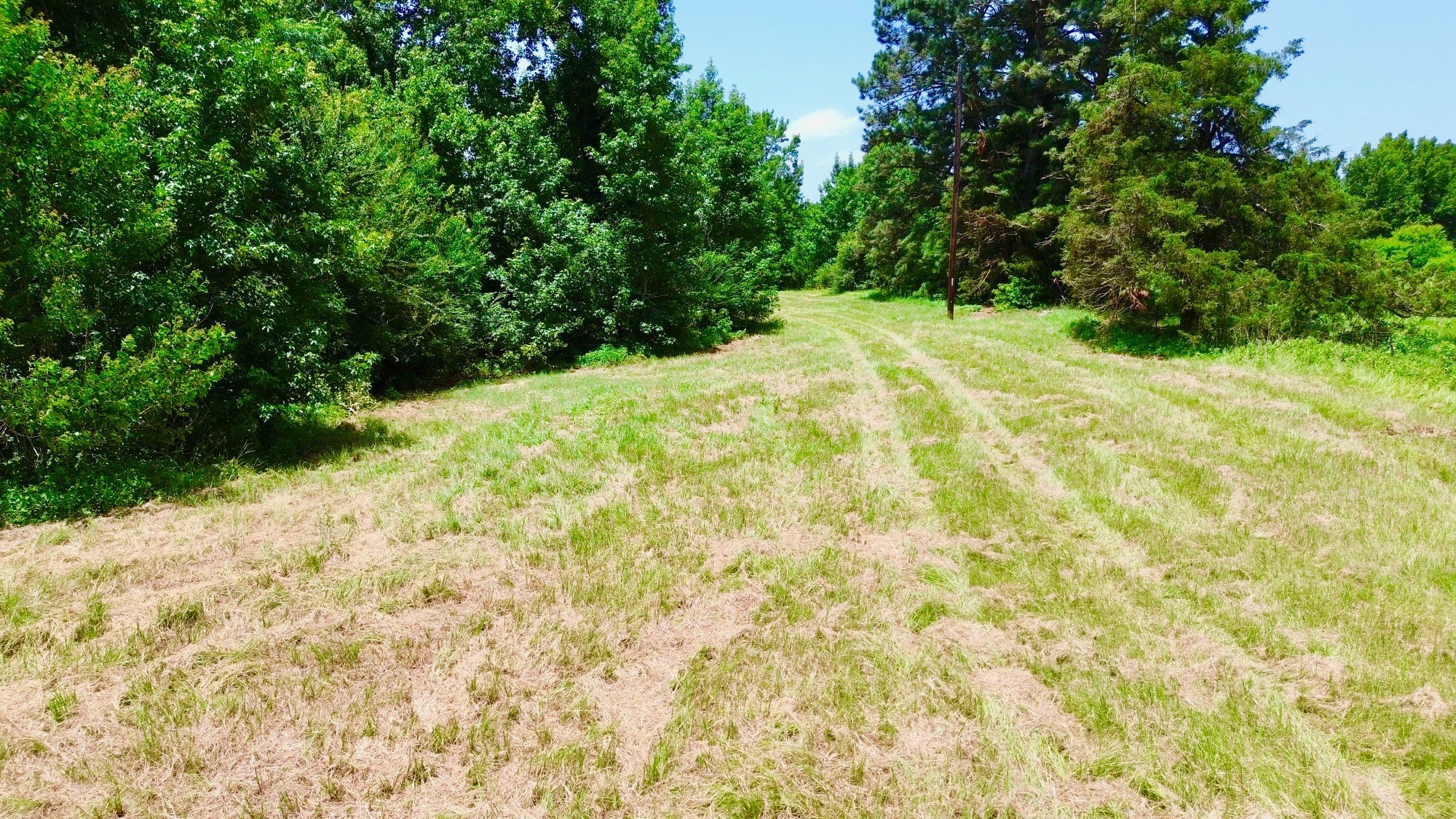 7365 Fm 2022 N Property Photo 14