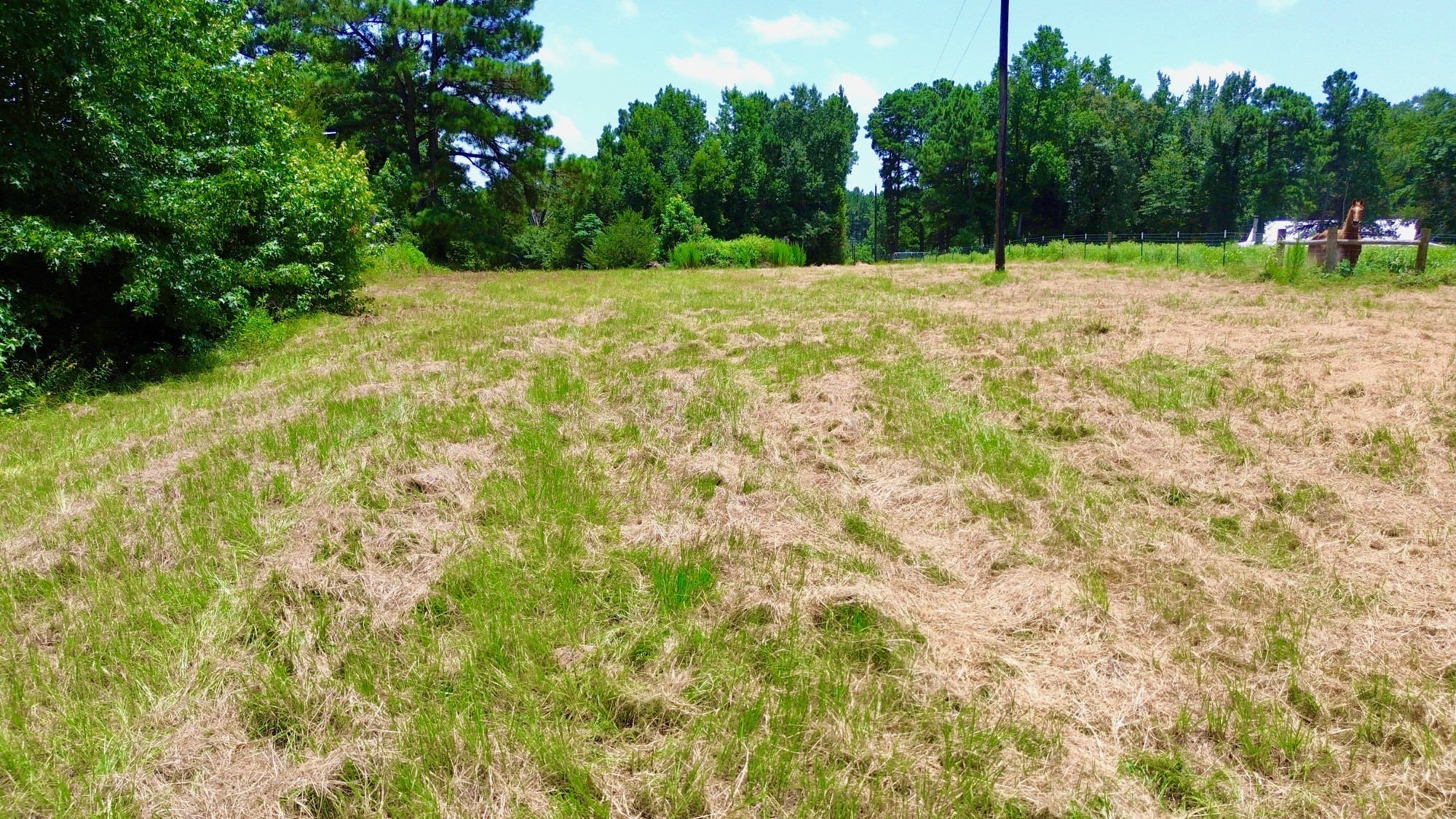 7365 Fm 2022 N Property Photo 15