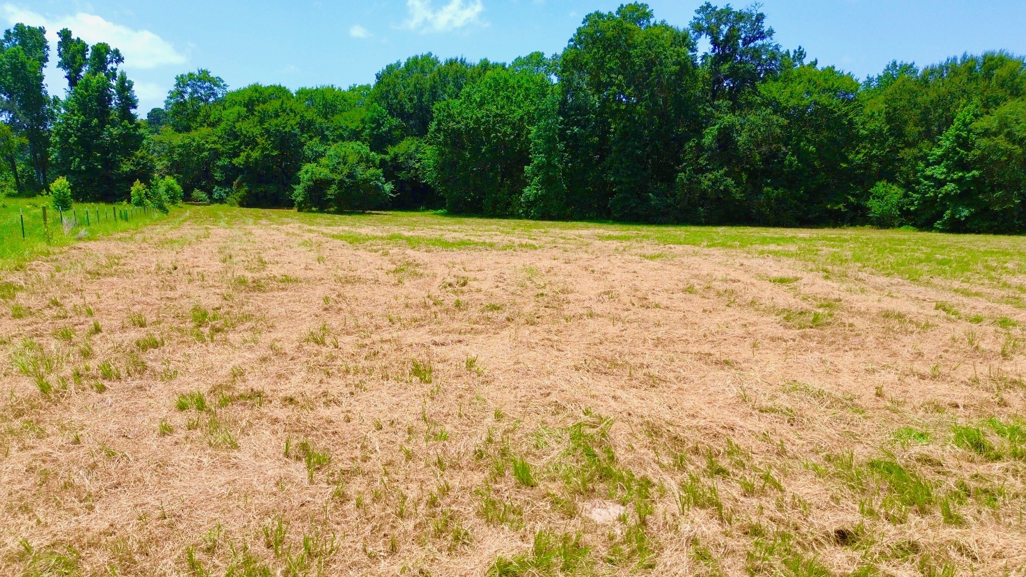 7365 Fm 2022 N Property Photo 16