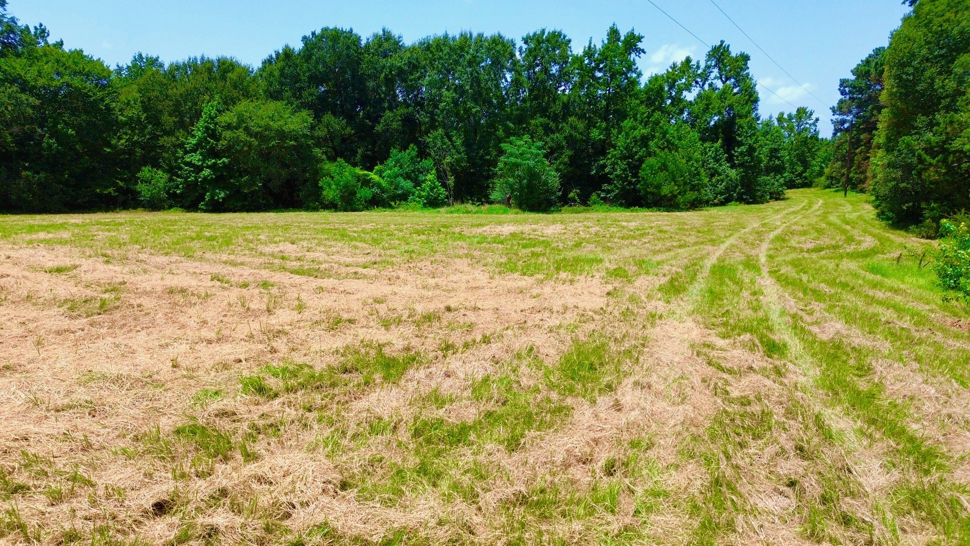7365 Fm 2022 N Property Photo 17