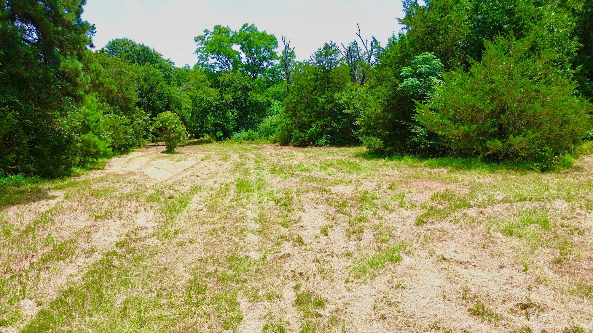 7365 Fm 2022 N Property Photo 18