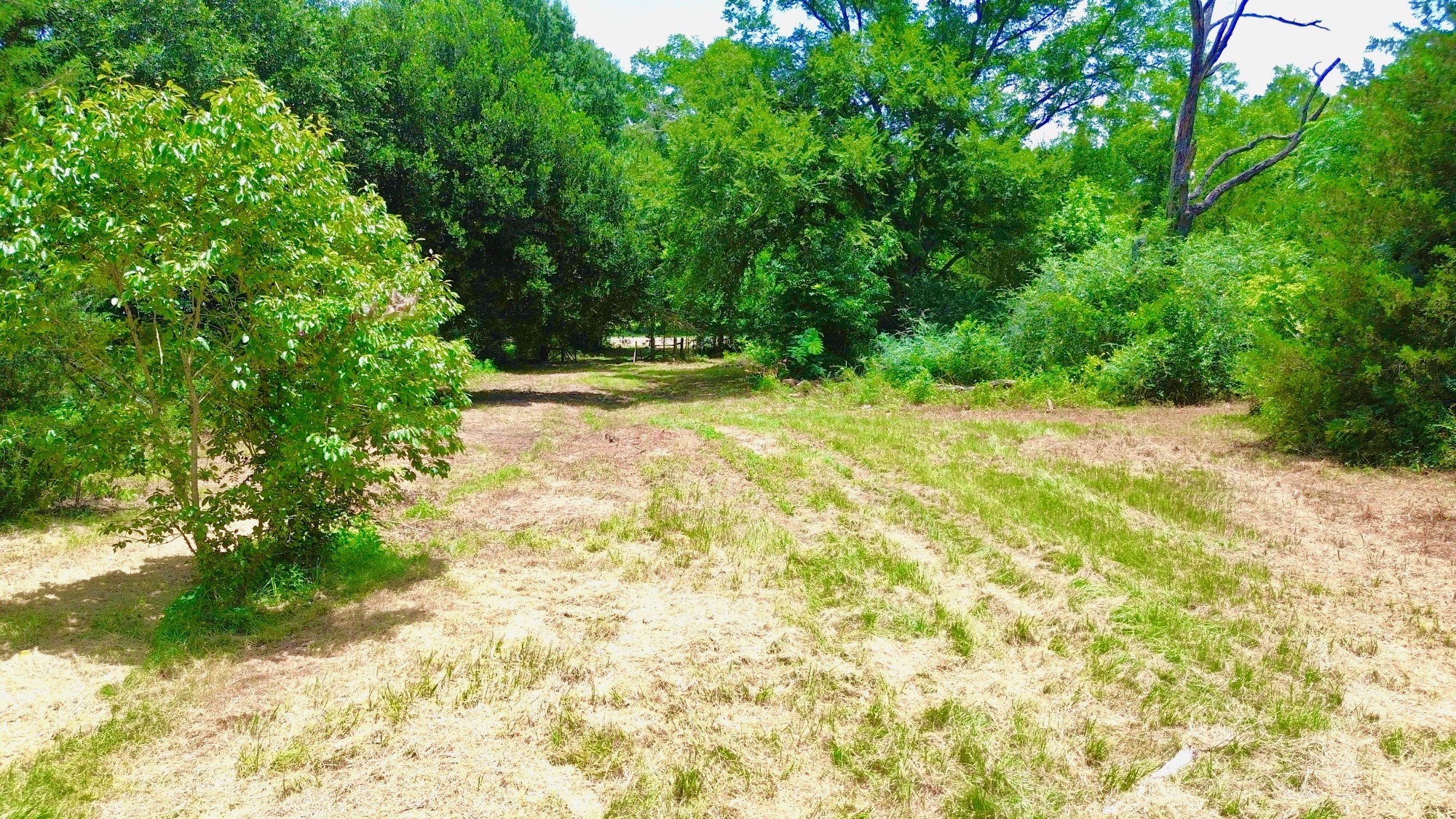 7365 Fm 2022 N Property Photo 19