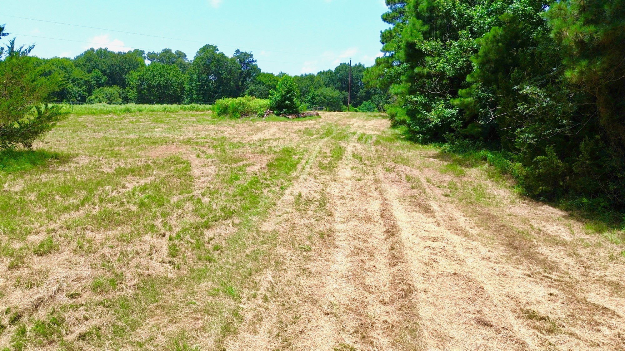 7365 Fm 2022 N Property Photo 20