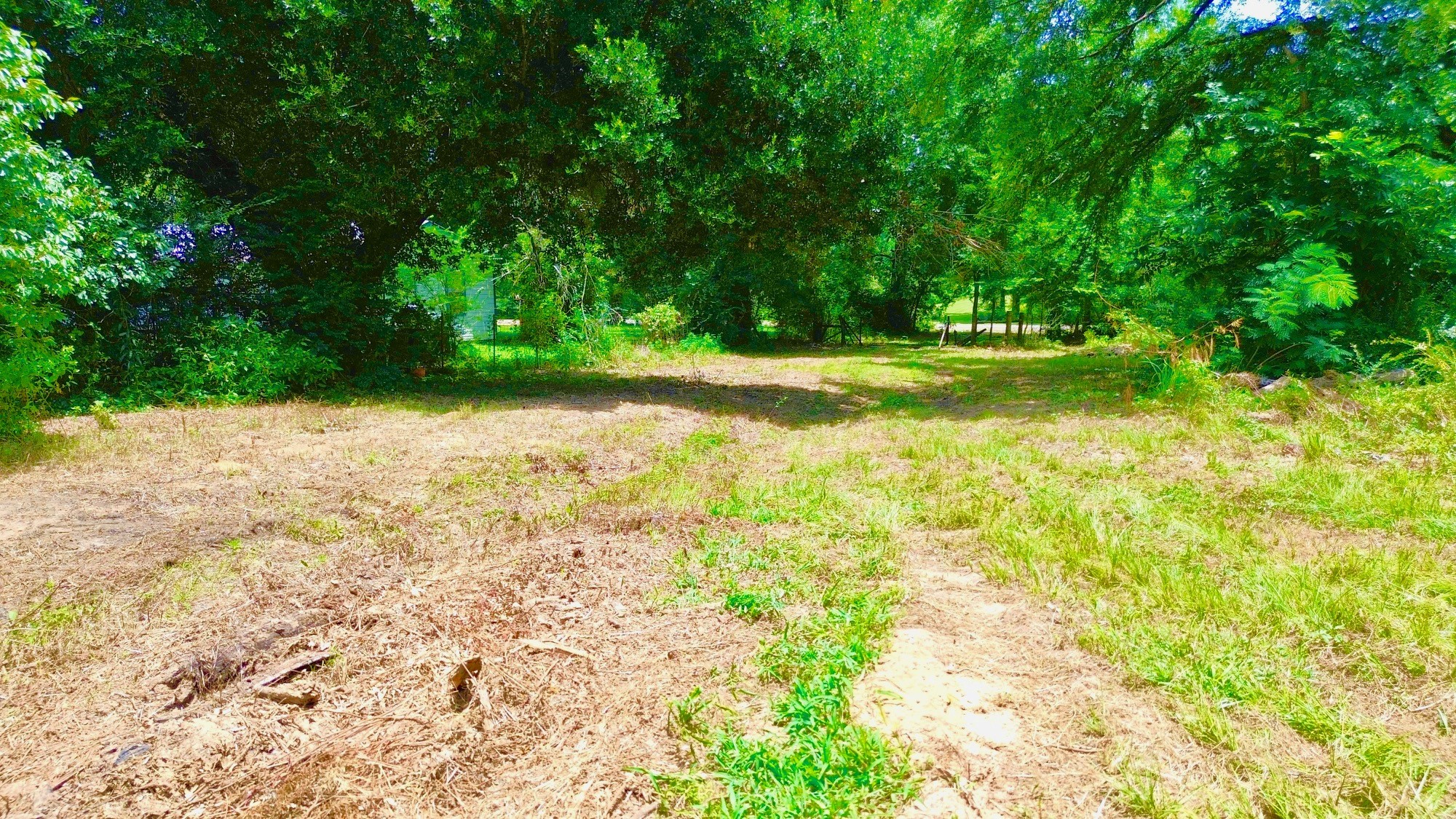 7365 Fm 2022 N Property Photo 21