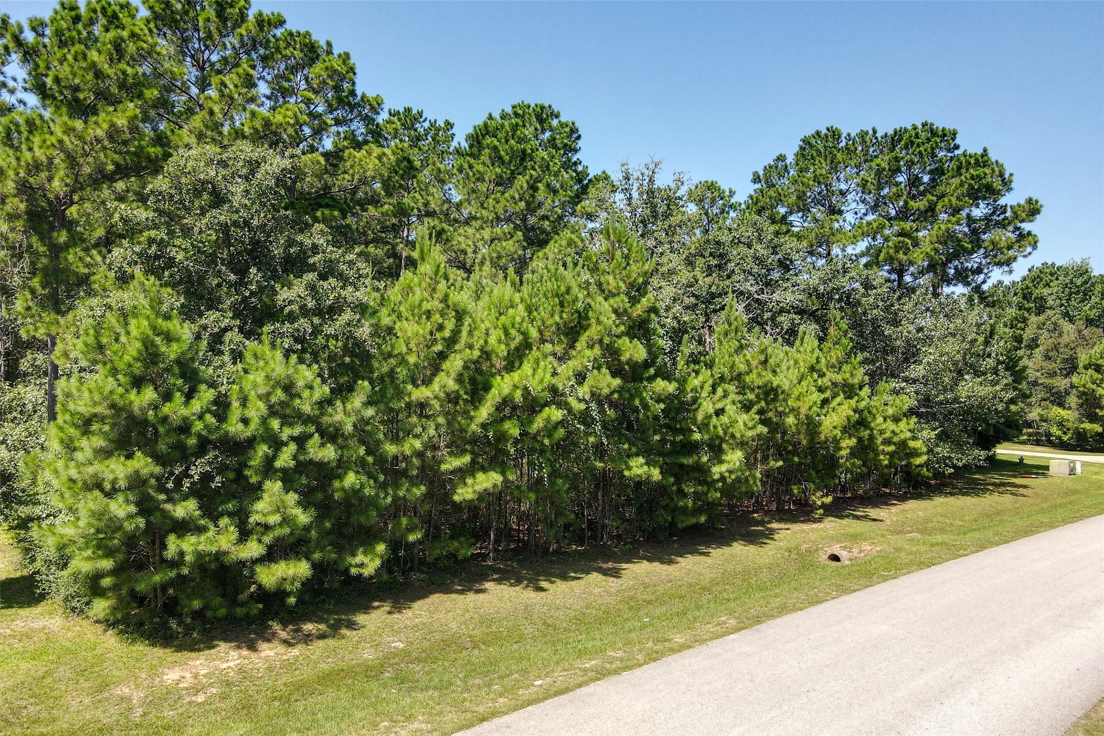 26095 Crown Ranch Boulevard Property Photo 2