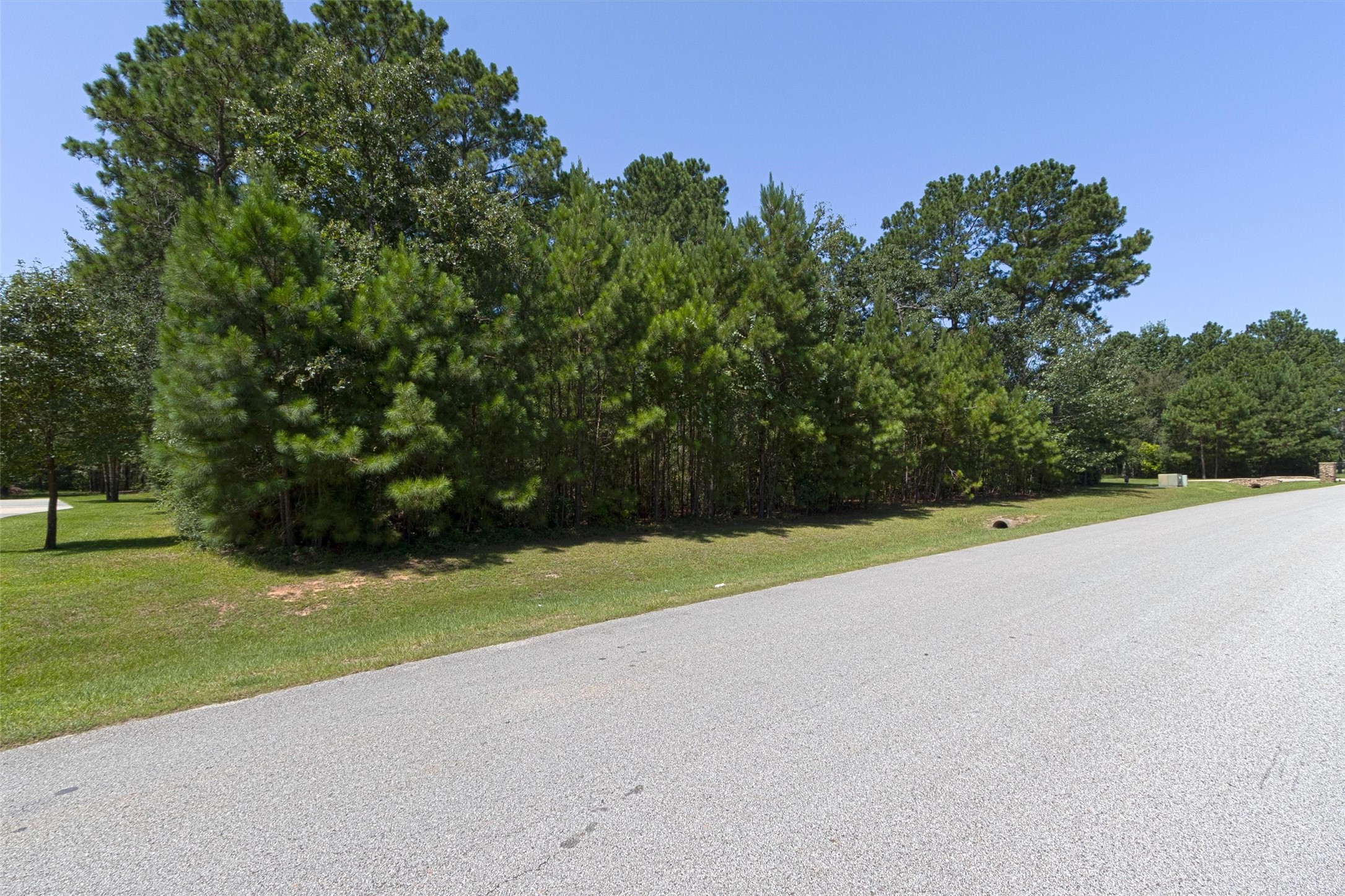 26095 Crown Ranch Boulevard Property Photo 3