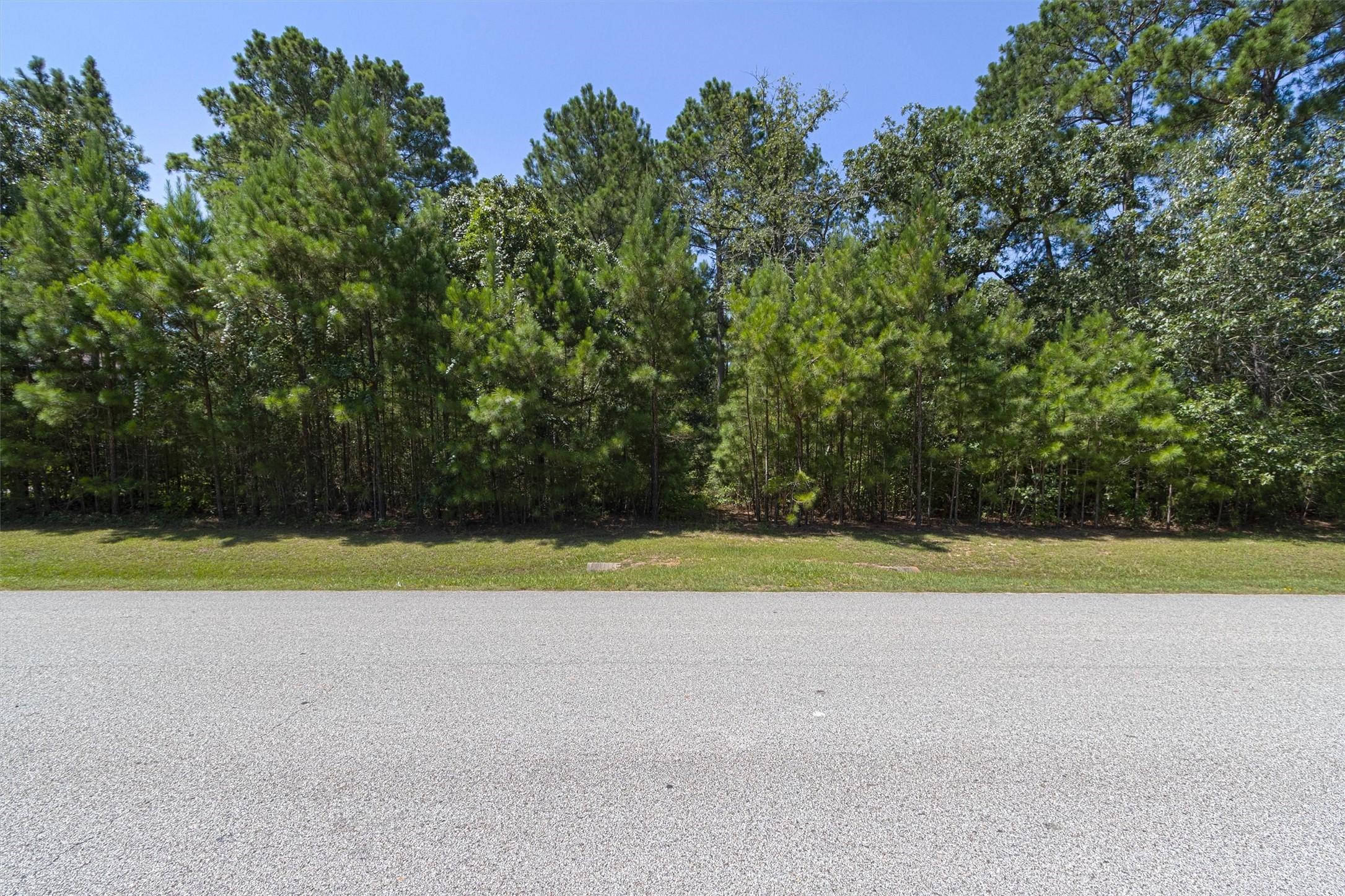 26095 Crown Ranch Boulevard Property Photo 4