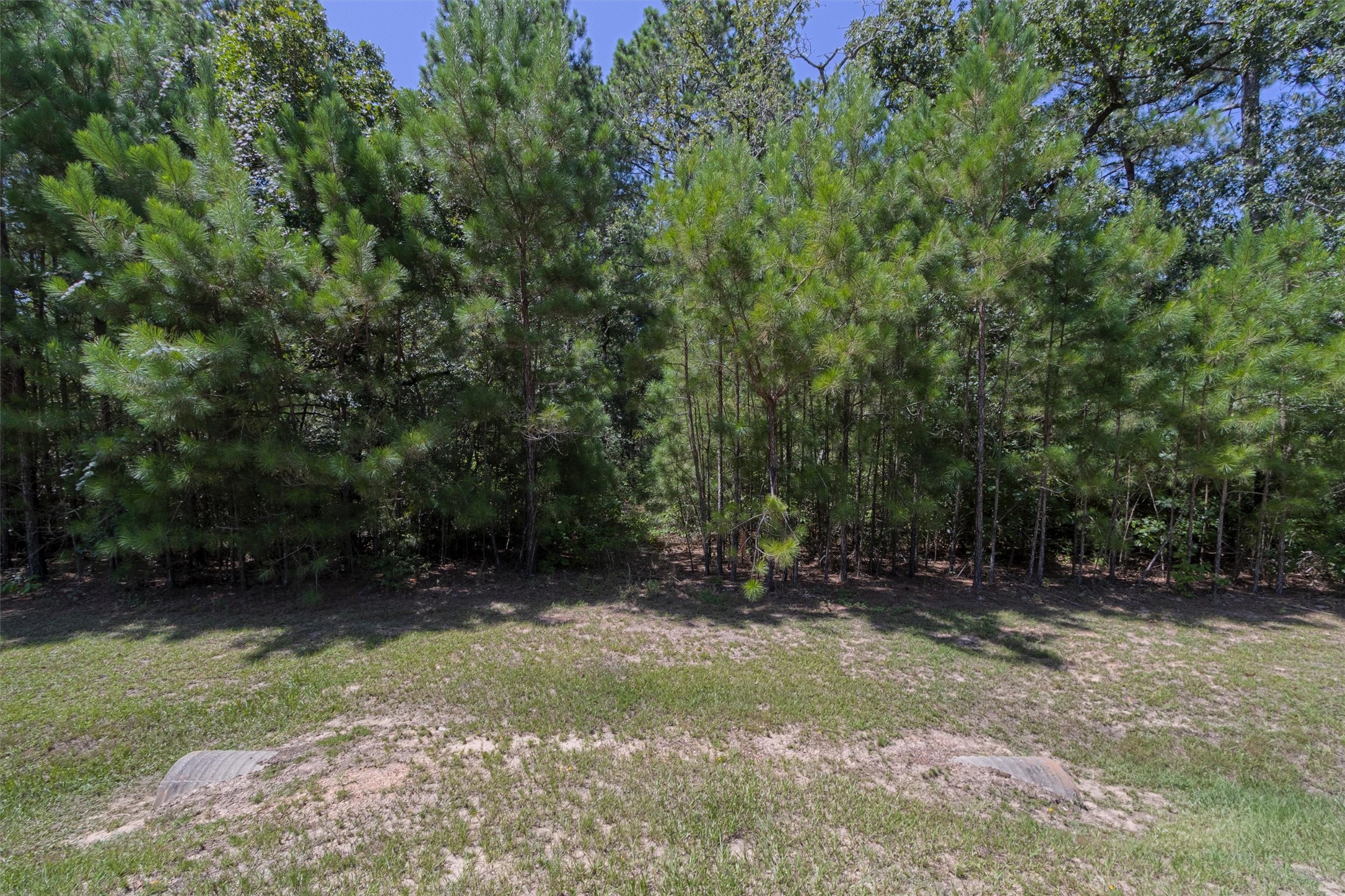 26095 Crown Ranch Boulevard Property Photo 6