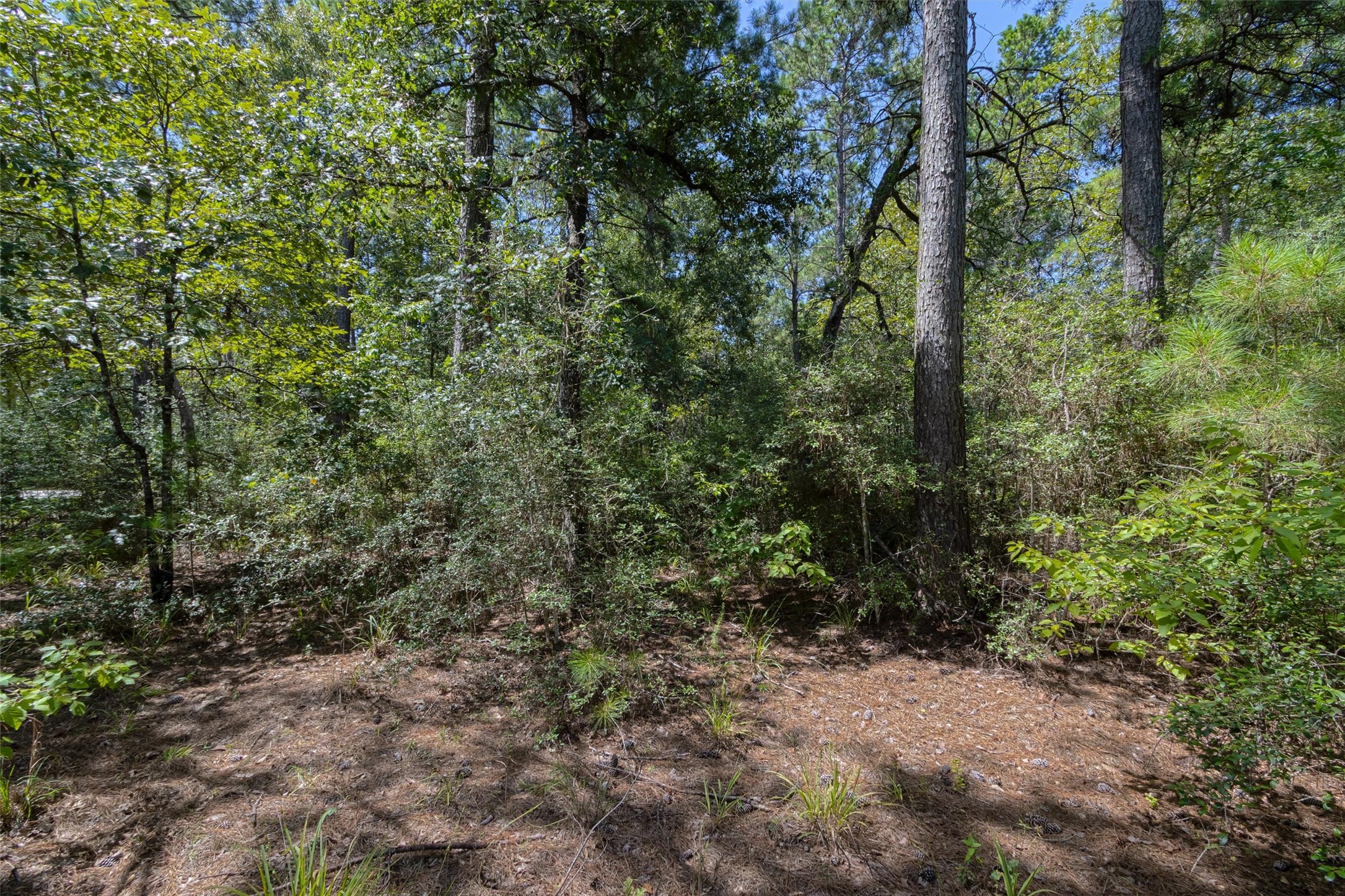 26095 Crown Ranch Boulevard Property Photo 7