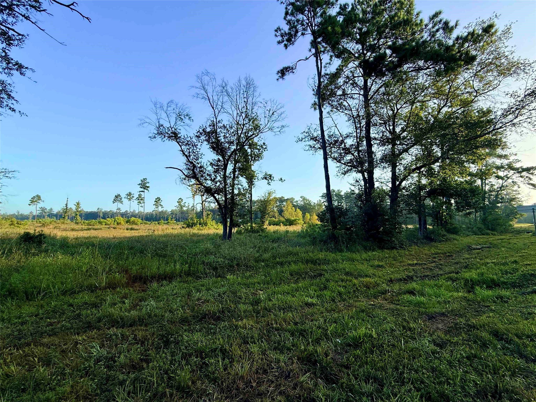 000 Fm 1003 Property Photo 1