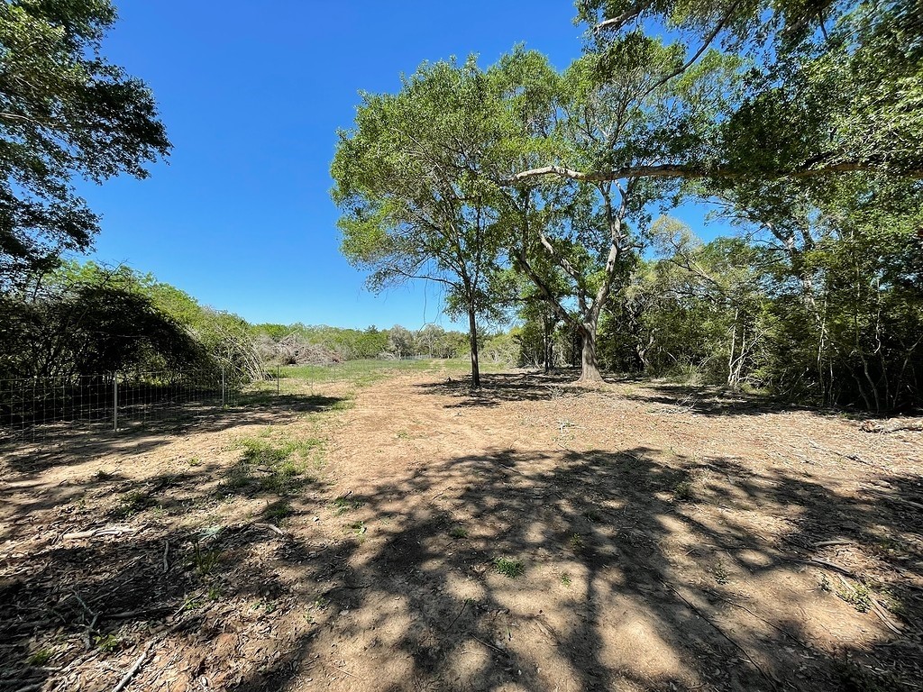 Tbd County Road 230 / County Road 212 Property Photo 1